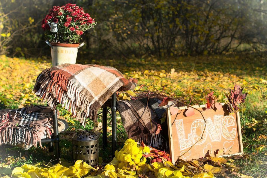 Фотодень «Осенние истории» (копия)