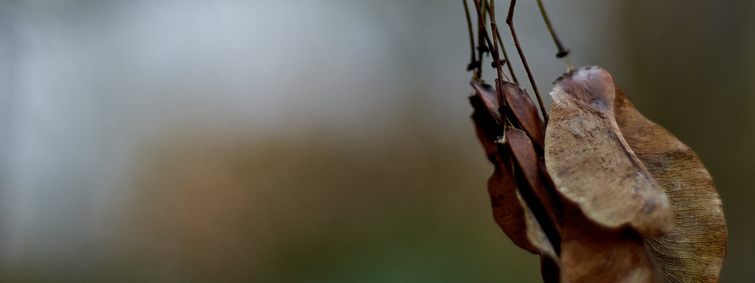Autumn isn’t about endings. Reportage event photographer in Moscow Alexander Gladkiy