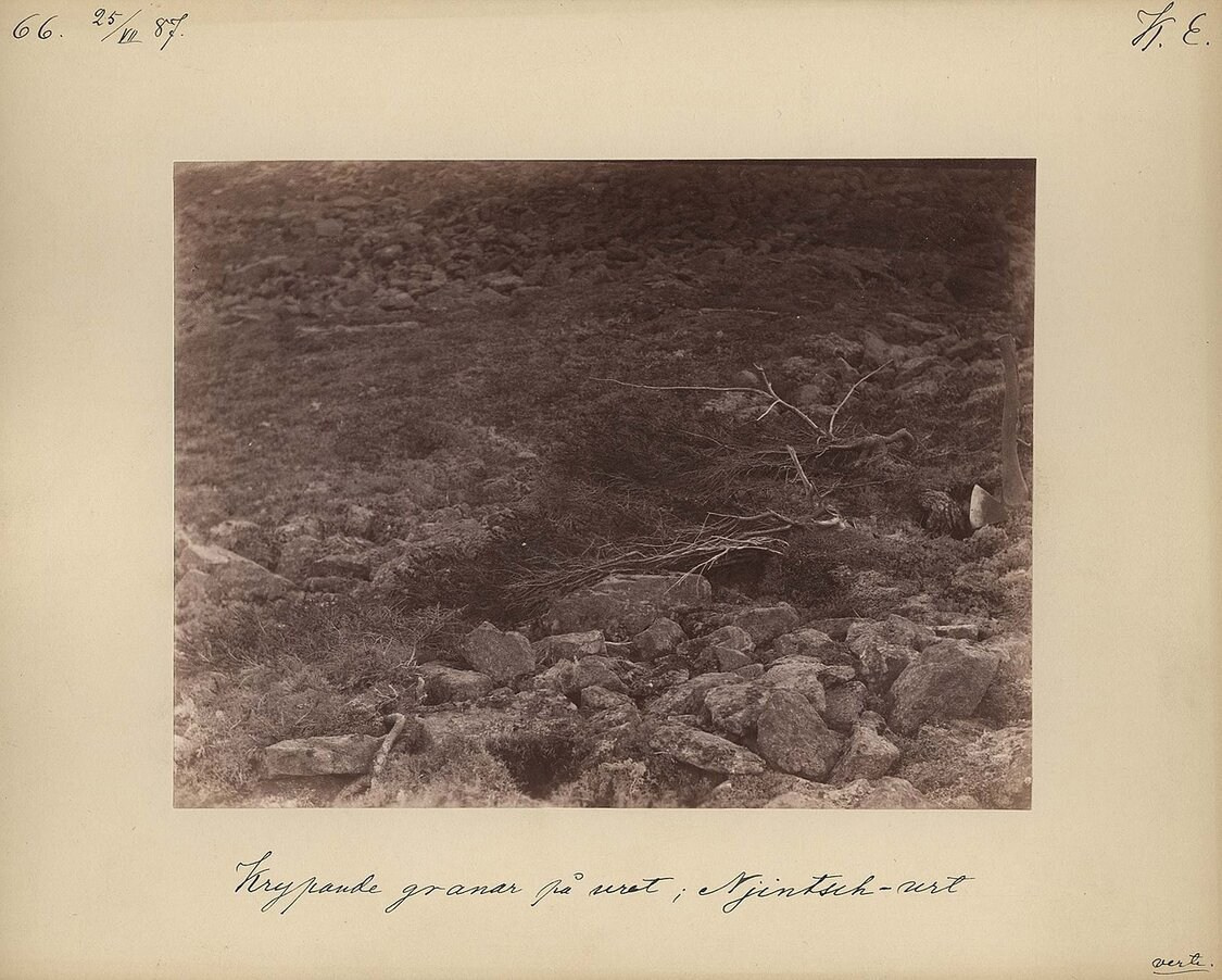 Arrive without leaving. Vika Bykovskaya photography