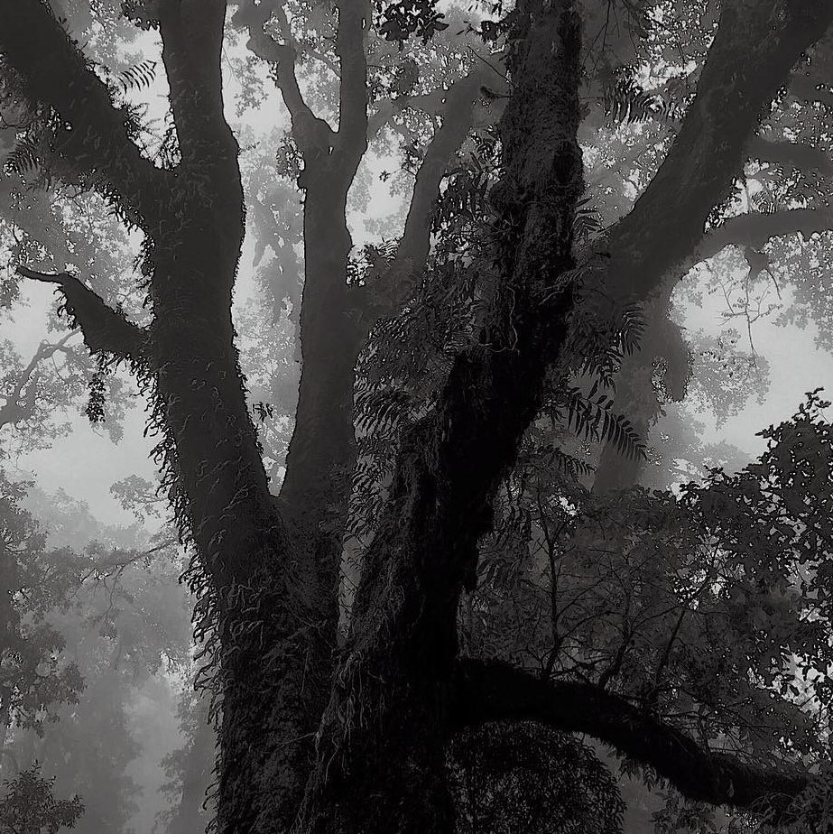 Обо мне. Клинический психолог в Москве Абрамова Юлия