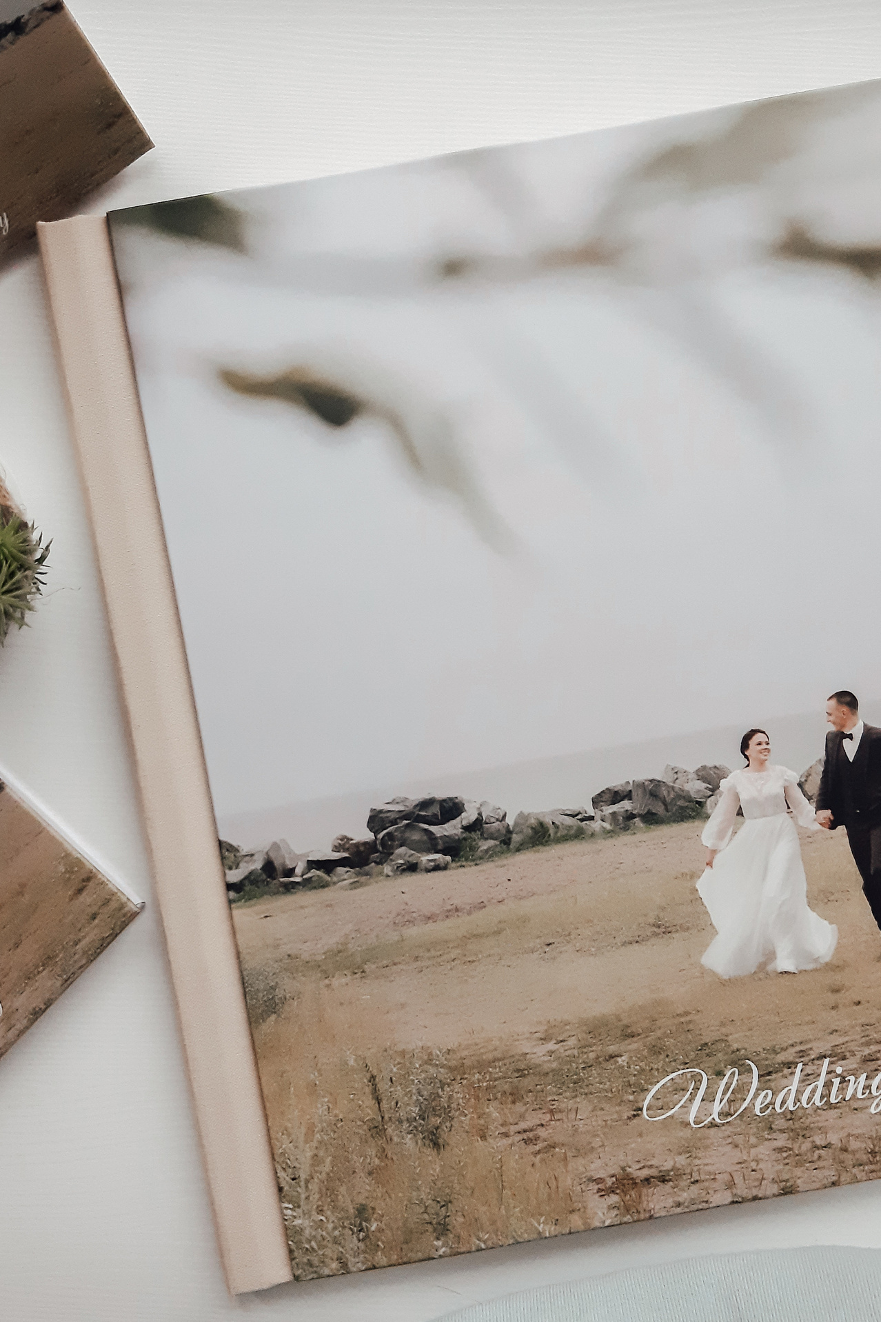 ФОТОКНИГИ. Photograper Israel/фотограф Израиль. ALINA TARAN