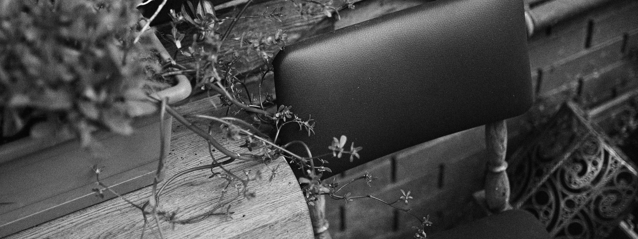 Услуги. Фотограф в Европе, Москве и Минске