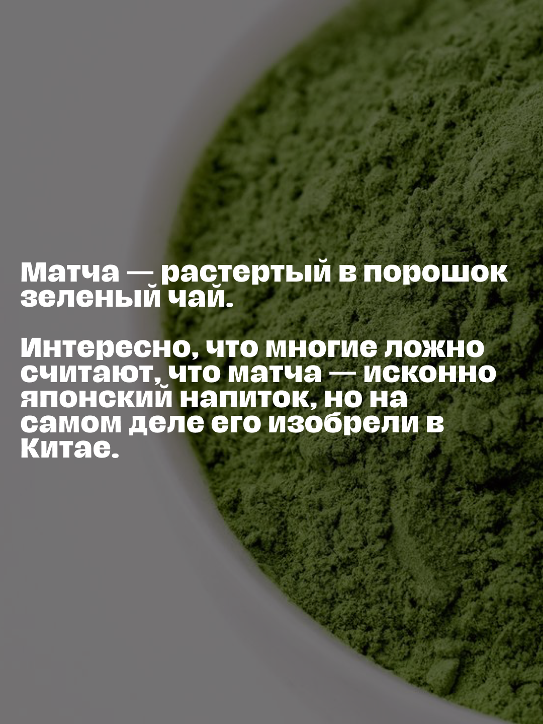 География Кофе. SMM-продвижение и контент в Санкт-Петербурге (СПб)