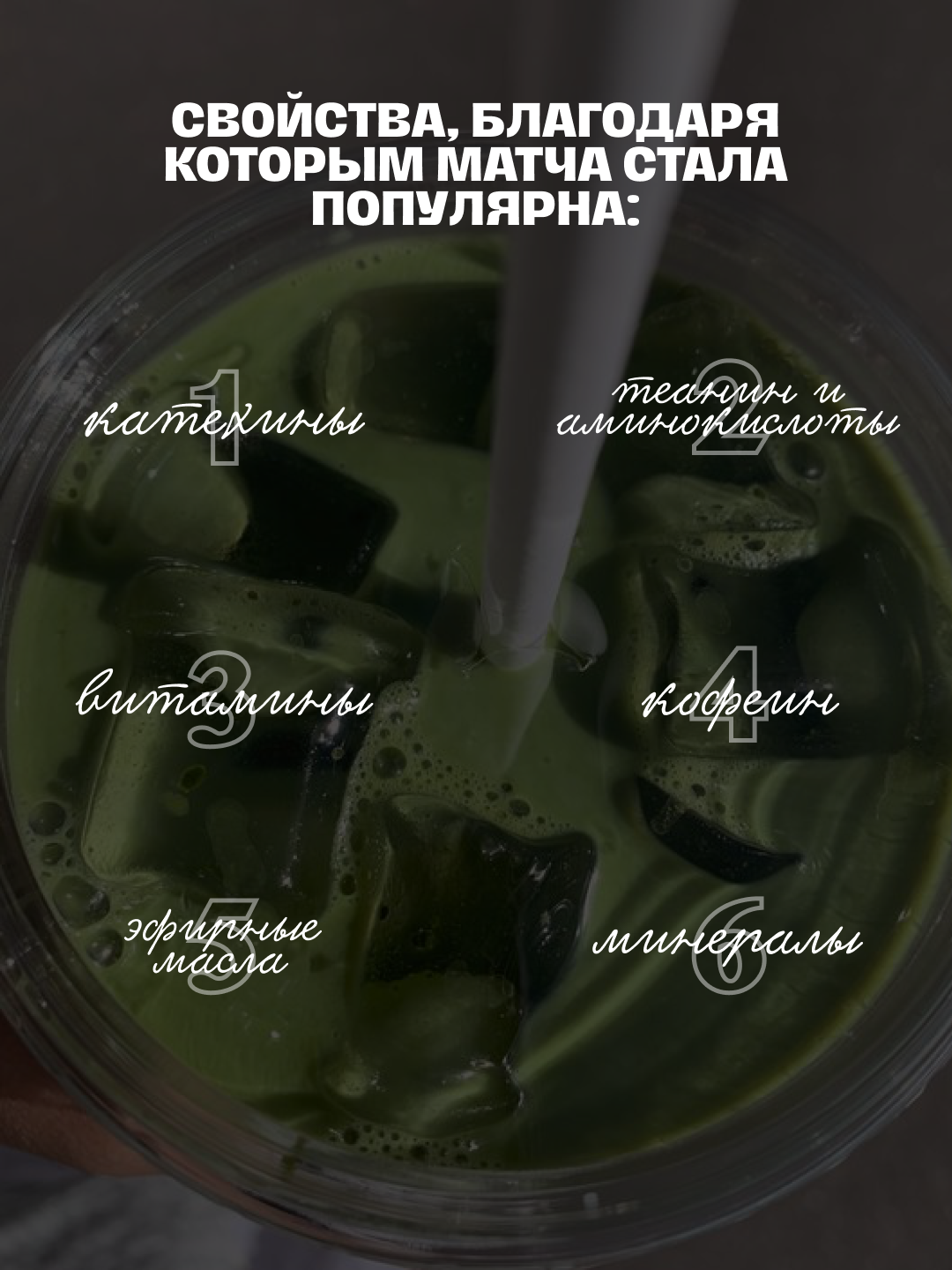 География Кофе. SMM-продвижение и контент в Санкт-Петербурге (СПб)