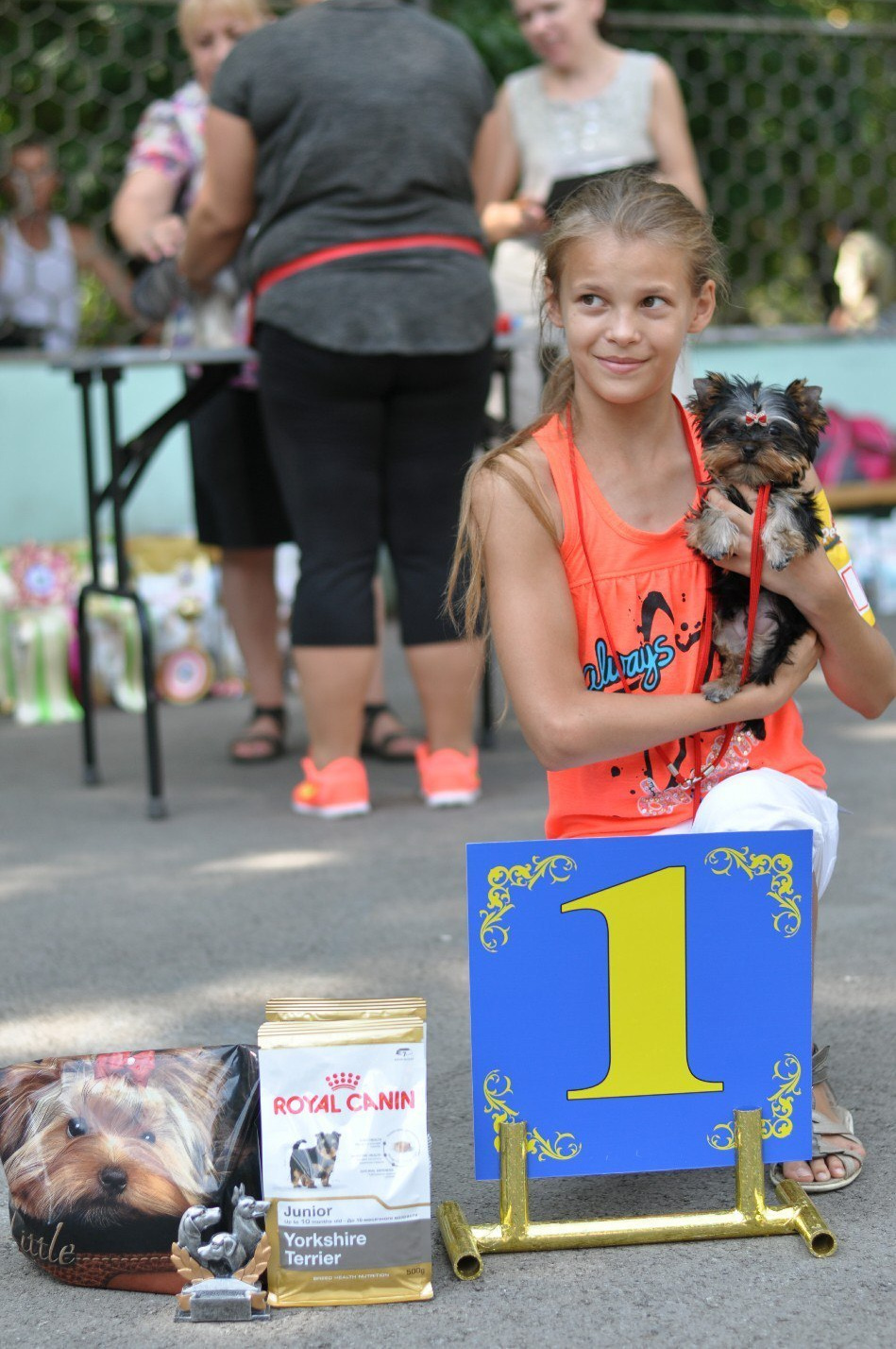 2016 г Результаты выставок. Питомник Йоркширских терьеров Дэнстайл в Санкт-Петербурге заводчик Тих