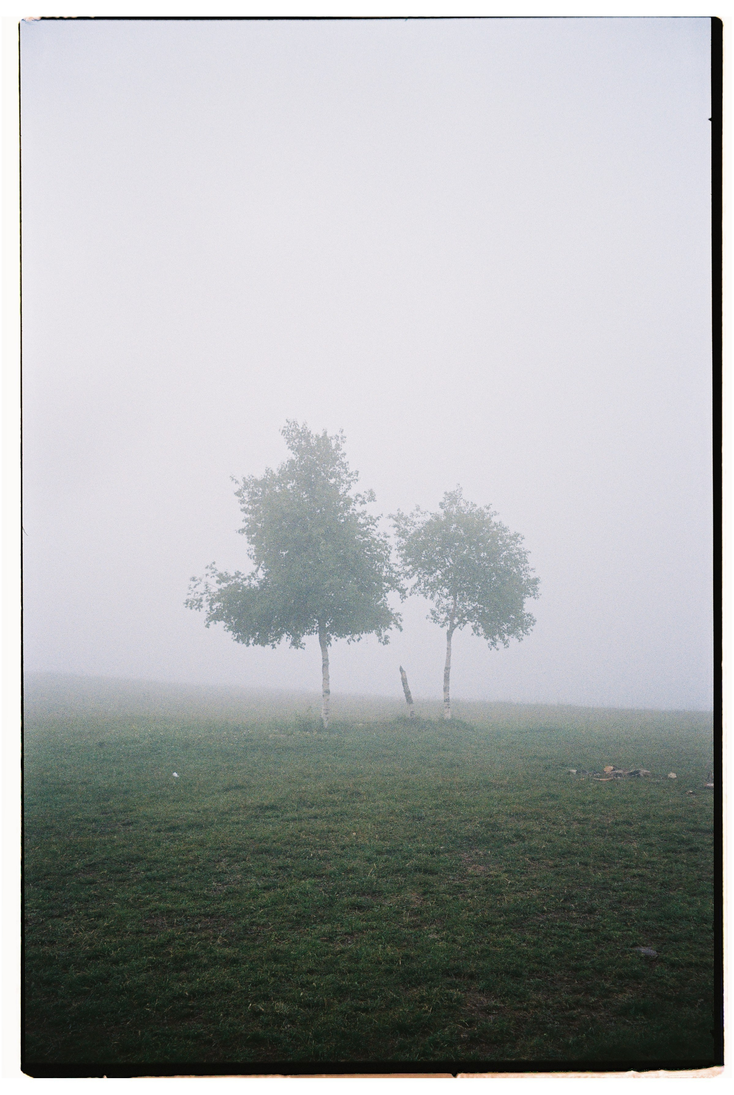 Алёна Куртова