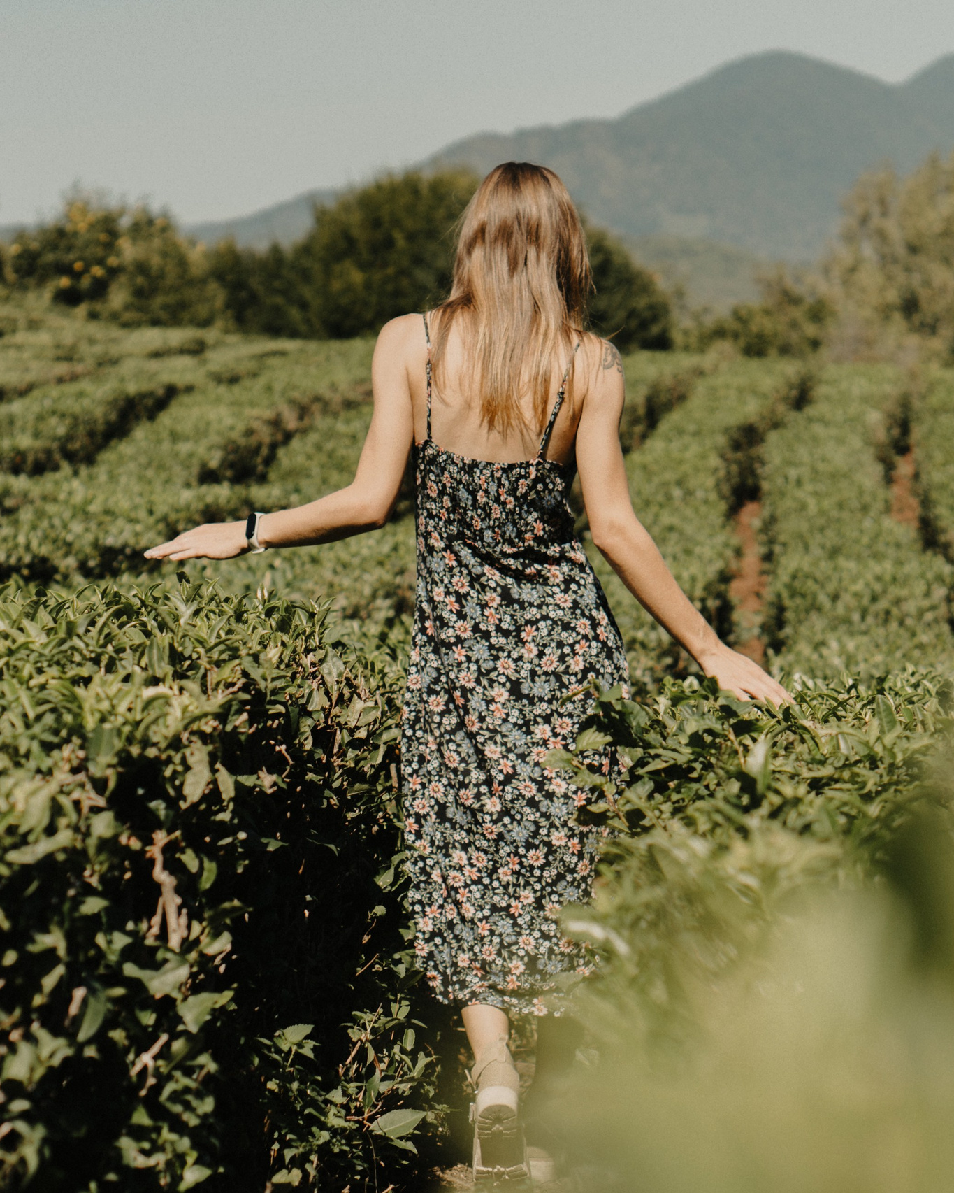 Фотосессия на чайной плантации в Хосте и Мацесте