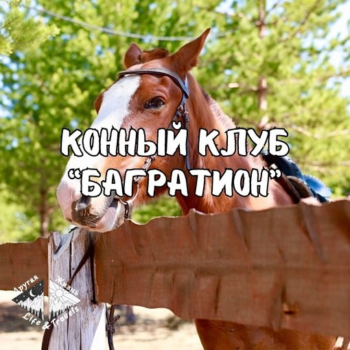 Туристический клуб «Другая жизнь»