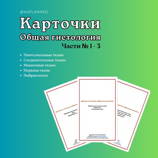 Уникальные материалы по гистологии — карточки и методические пособия. Репетитор по гистологии, патологической анатомии и патофизиологии | KaplanMed