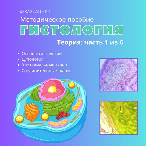 Уникальные материалы по гистологии — карточки и методические пособия. Репетитор по гистологии, патологической анатомии и патофизиологии | KaplanMed