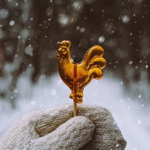 Идеи новогодних фото. Фотограф для женщин и мужчин, контента для бизнеса в Сочи, Адлере, Красной поляне, Розе Хутор