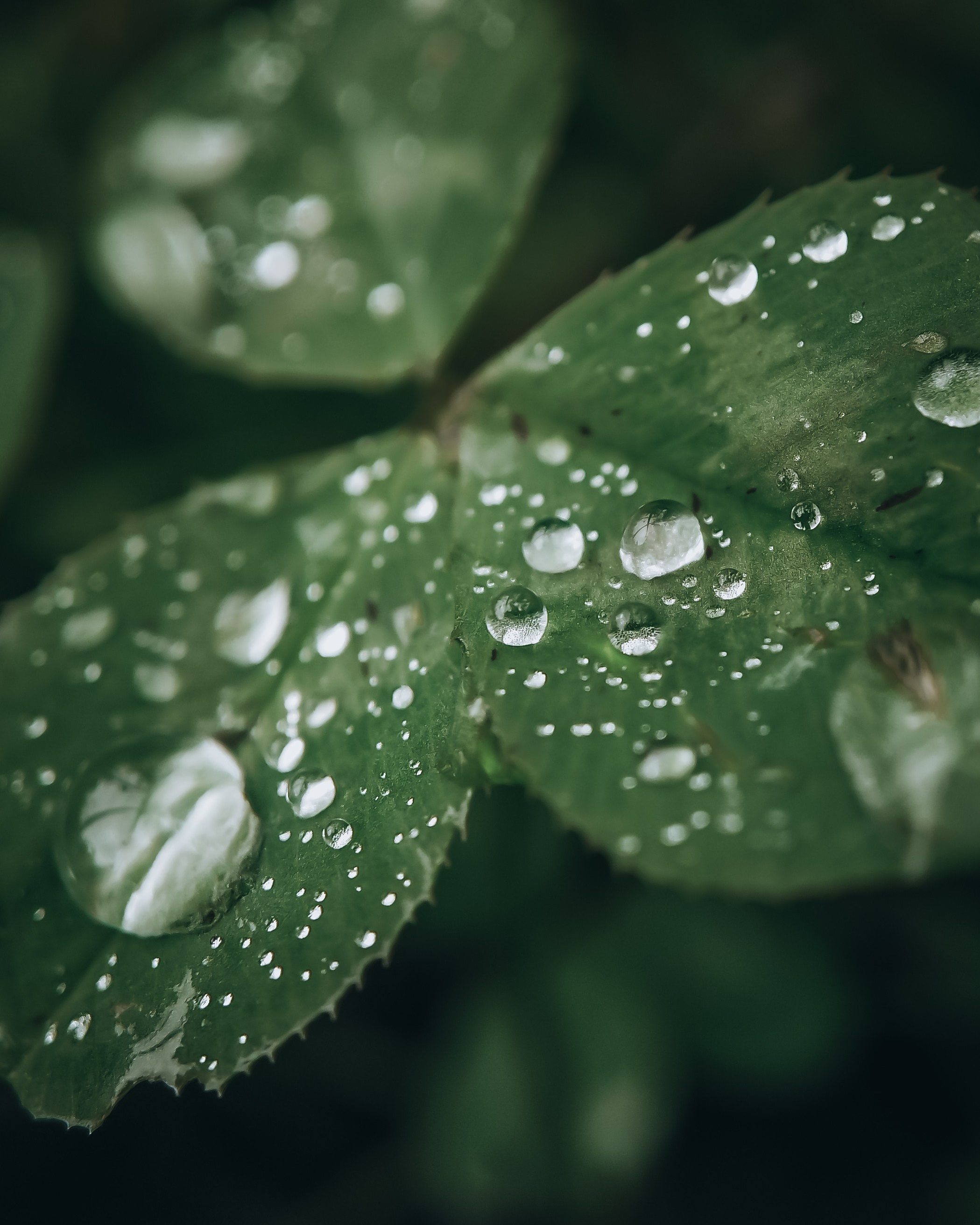 История о кадре. Саватейкин Ярослав | Портретный фотограф в Москве