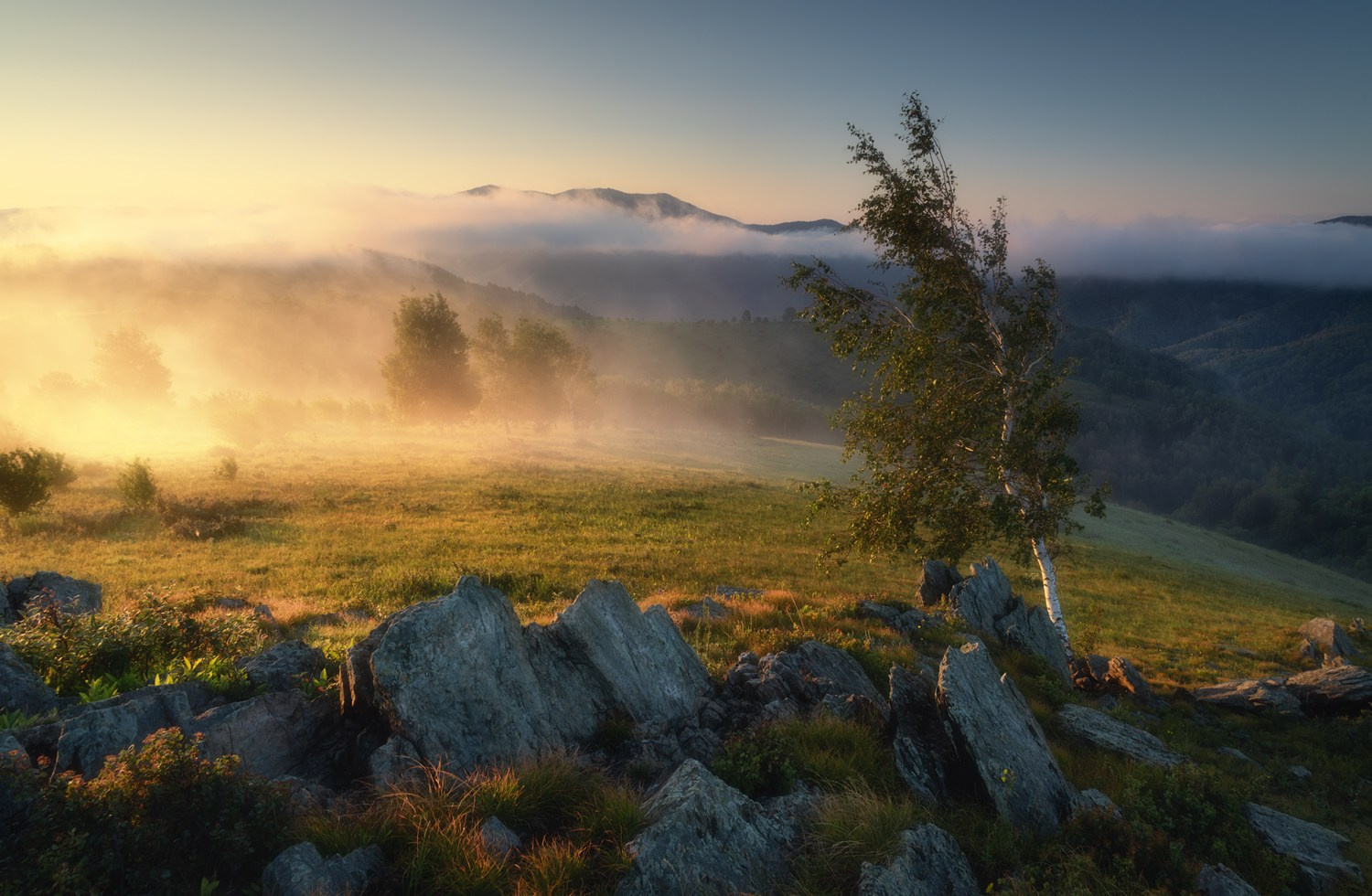 О себе через призму «Живой природы Алтая». Алёна Рубан. Профессиональный пейзажный фотограф Алёна Рубан