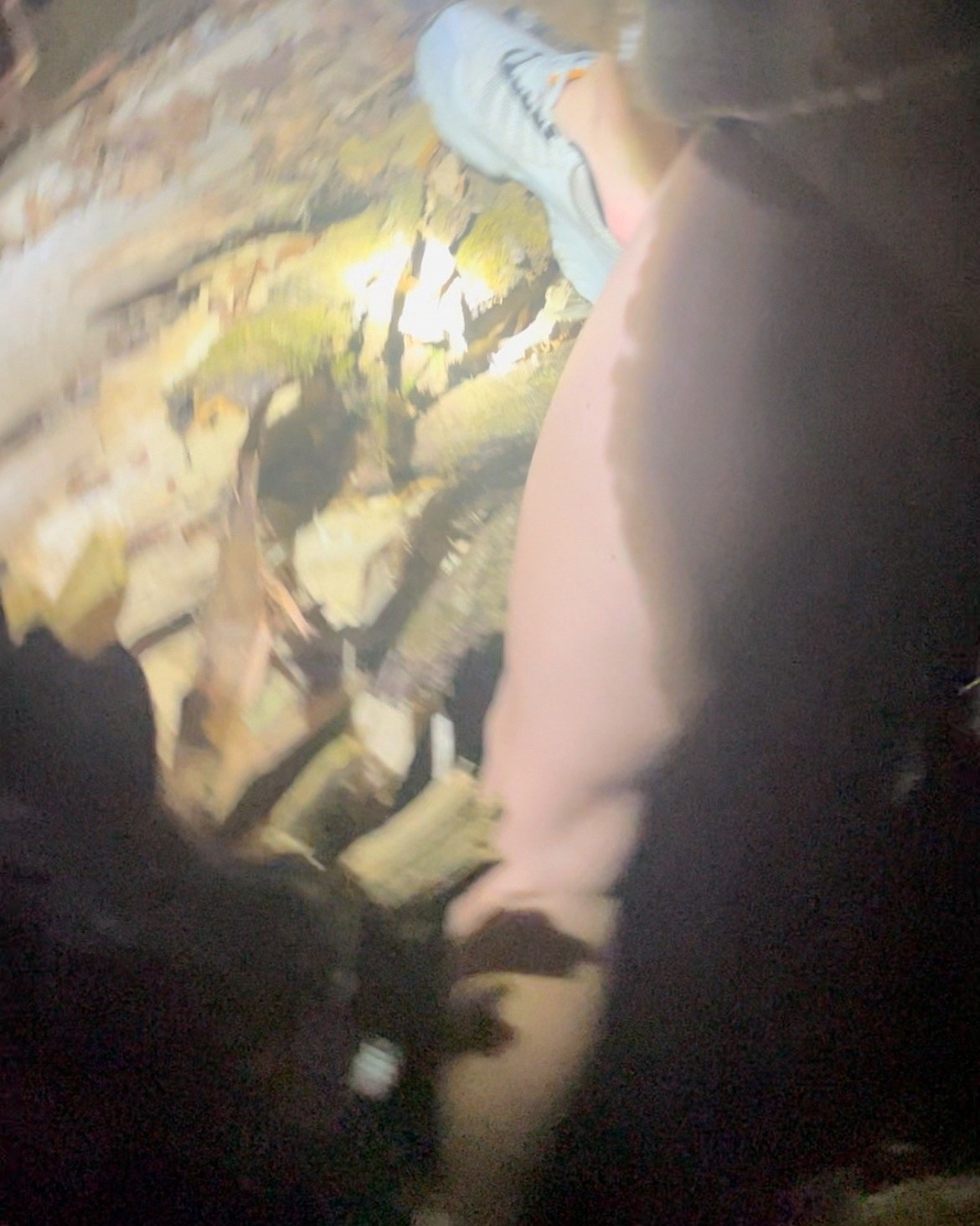 Медведи. Созданов Максим фотограф во Владивостоке