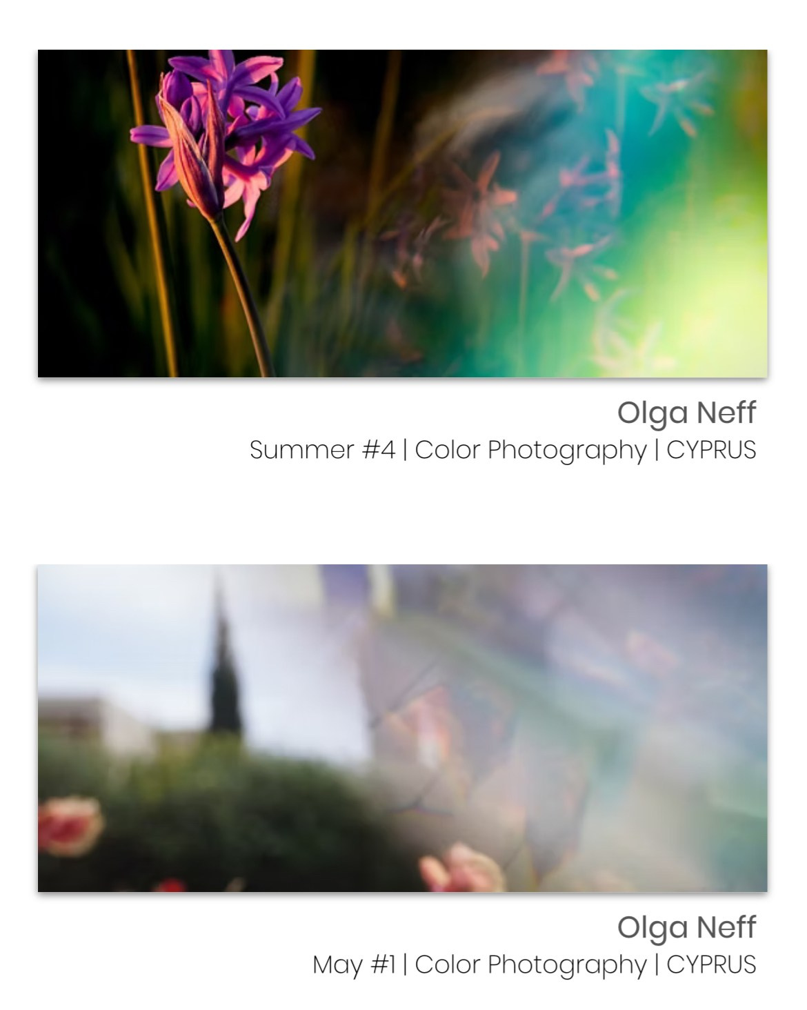 EXHIBITIONS. OLGA NEFF. Artist. Visual, Music, Poesy
