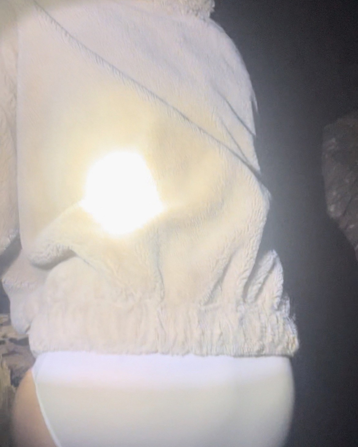 Медведи. Созданов Максим фотограф во Владивостоке