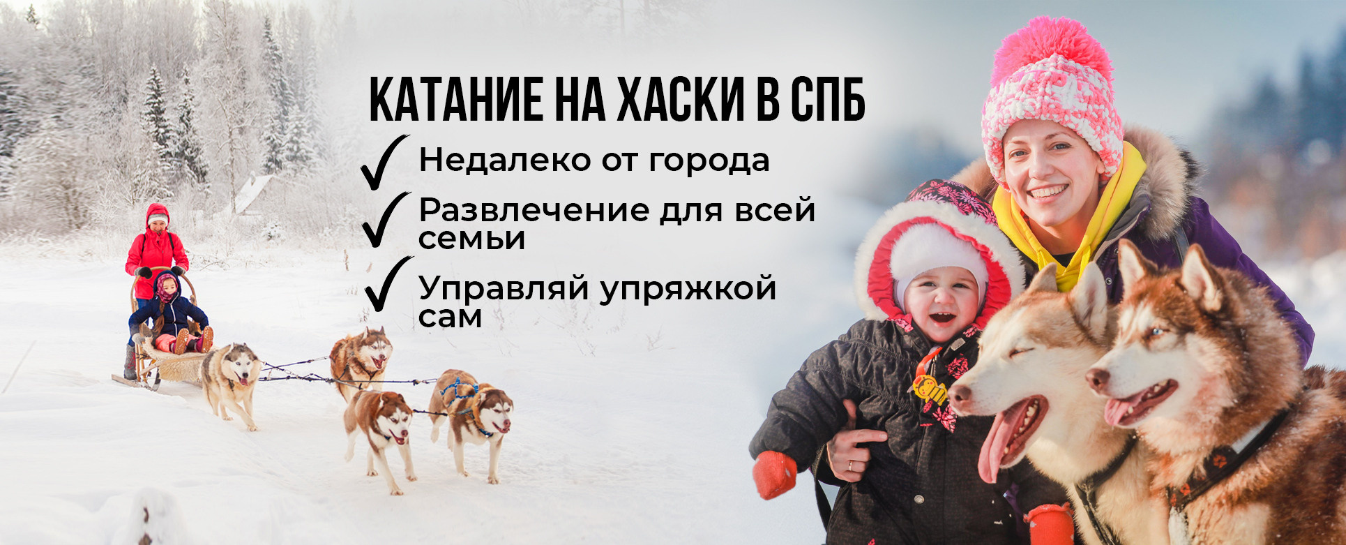 Катание на хаски в Спб