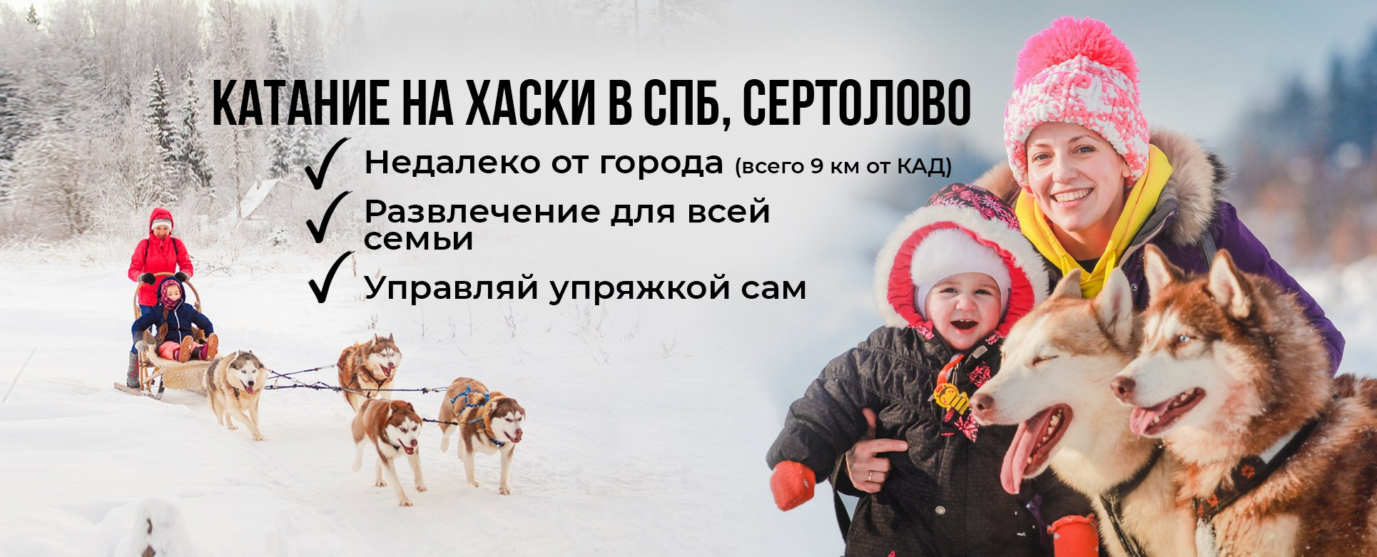 Катание на хаски в Спб