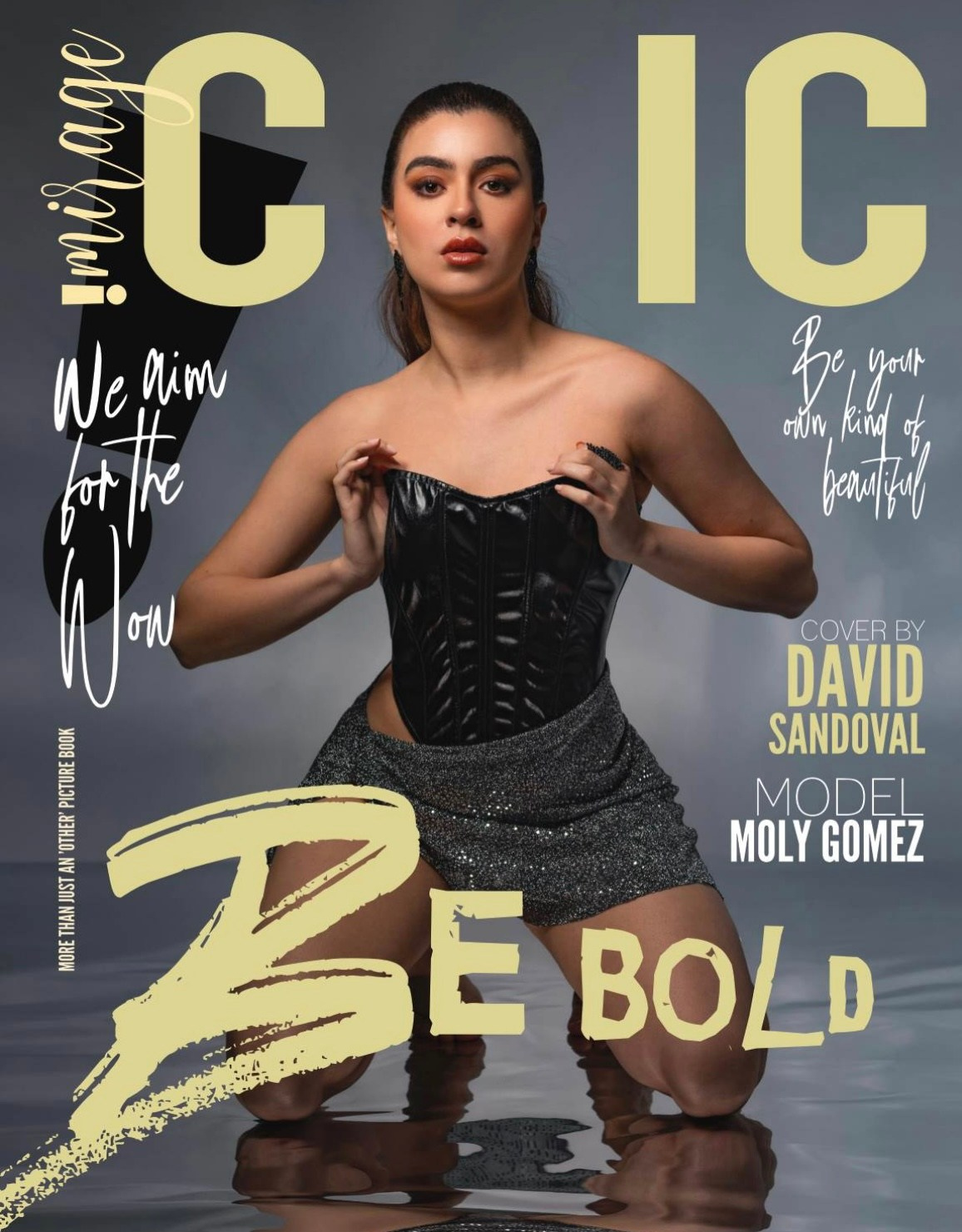 Публикации в журналах. Anika Moc