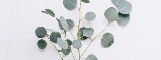 Взрослые. Фотограф Кристина Калягина