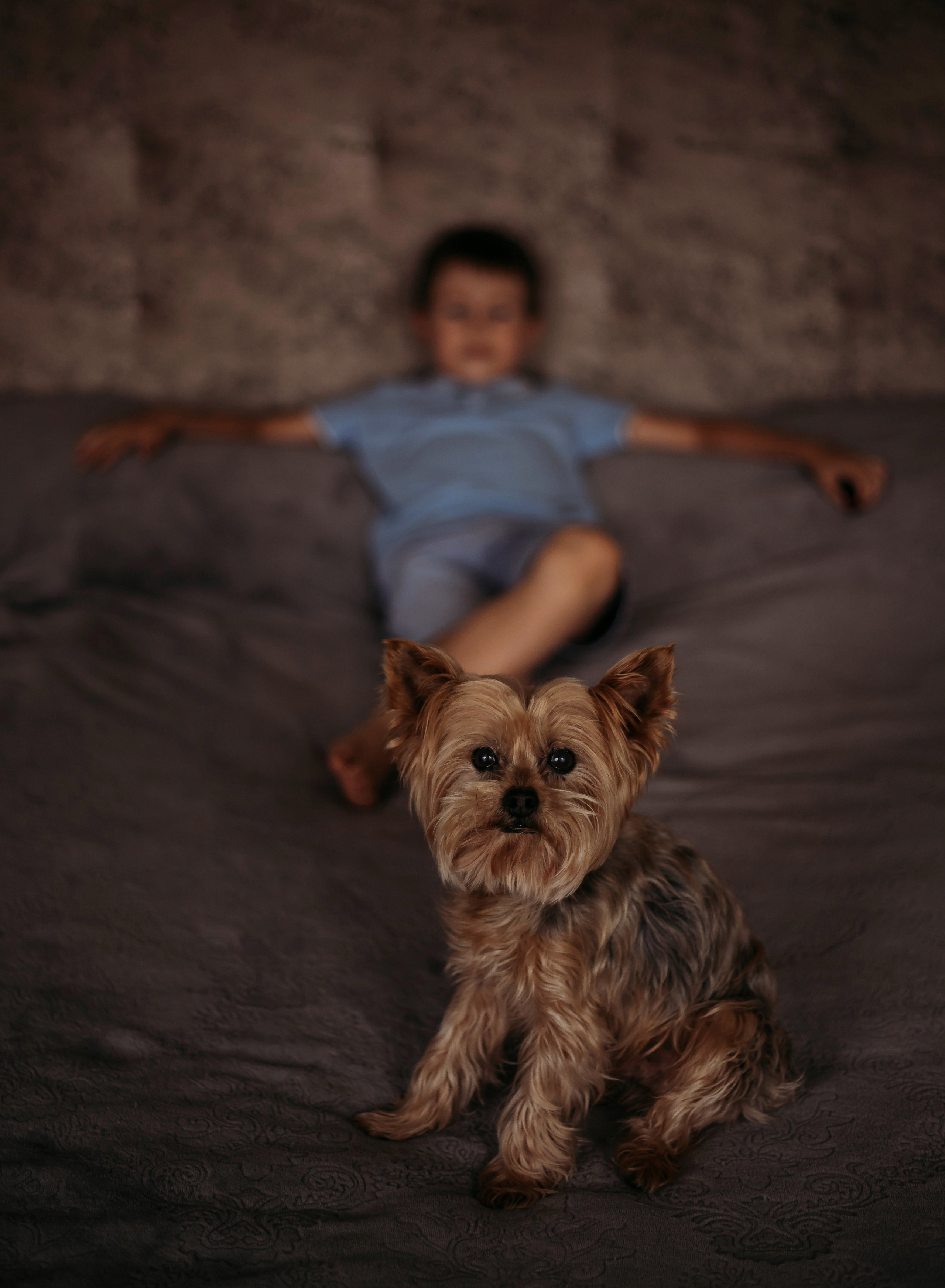 Услуги и цены. Светлана Ковешникова — детский и семейный фотограф в Москве