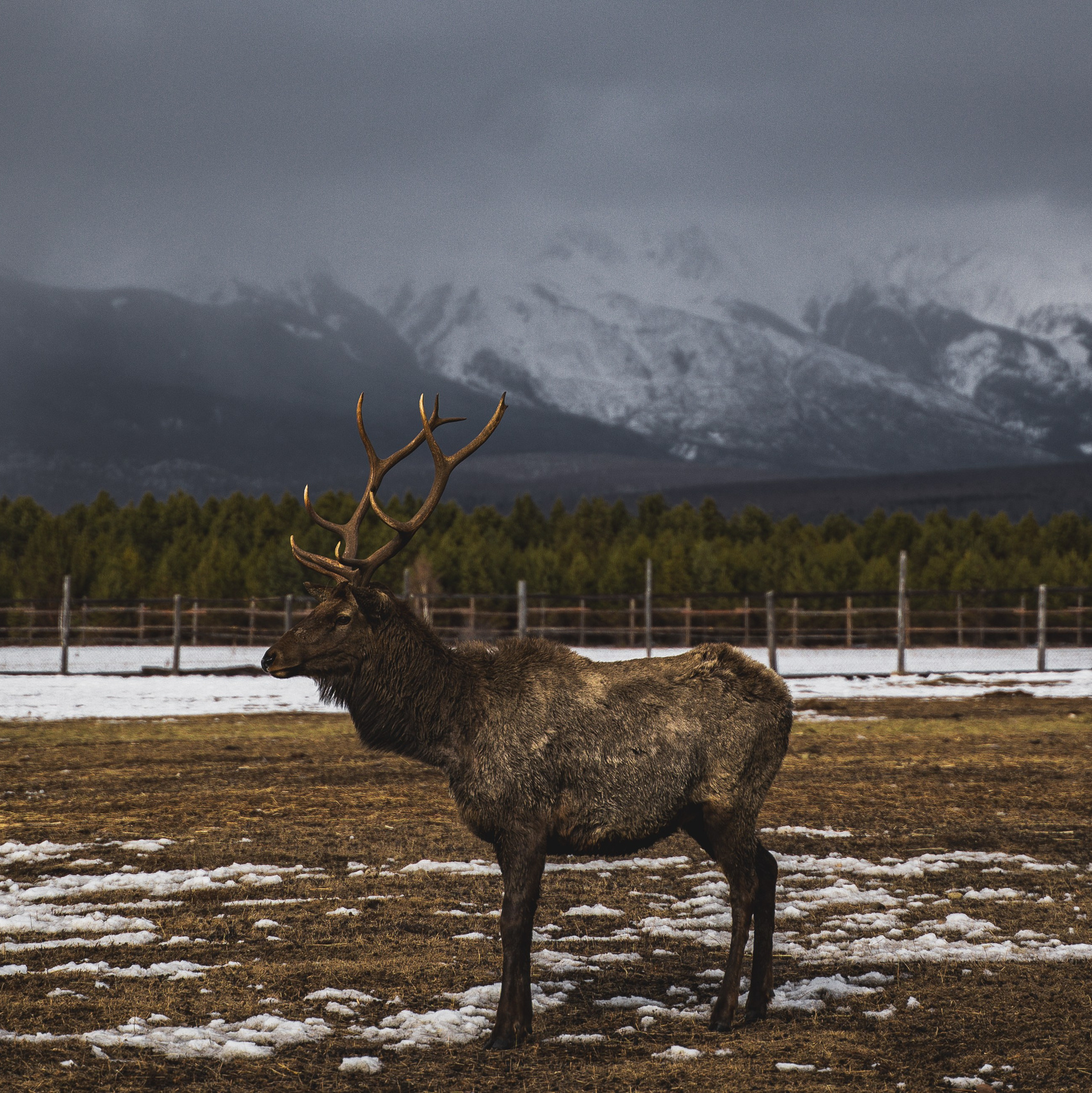 Выбираем гида для похода в горы. Фотограф Ольга Пучкова