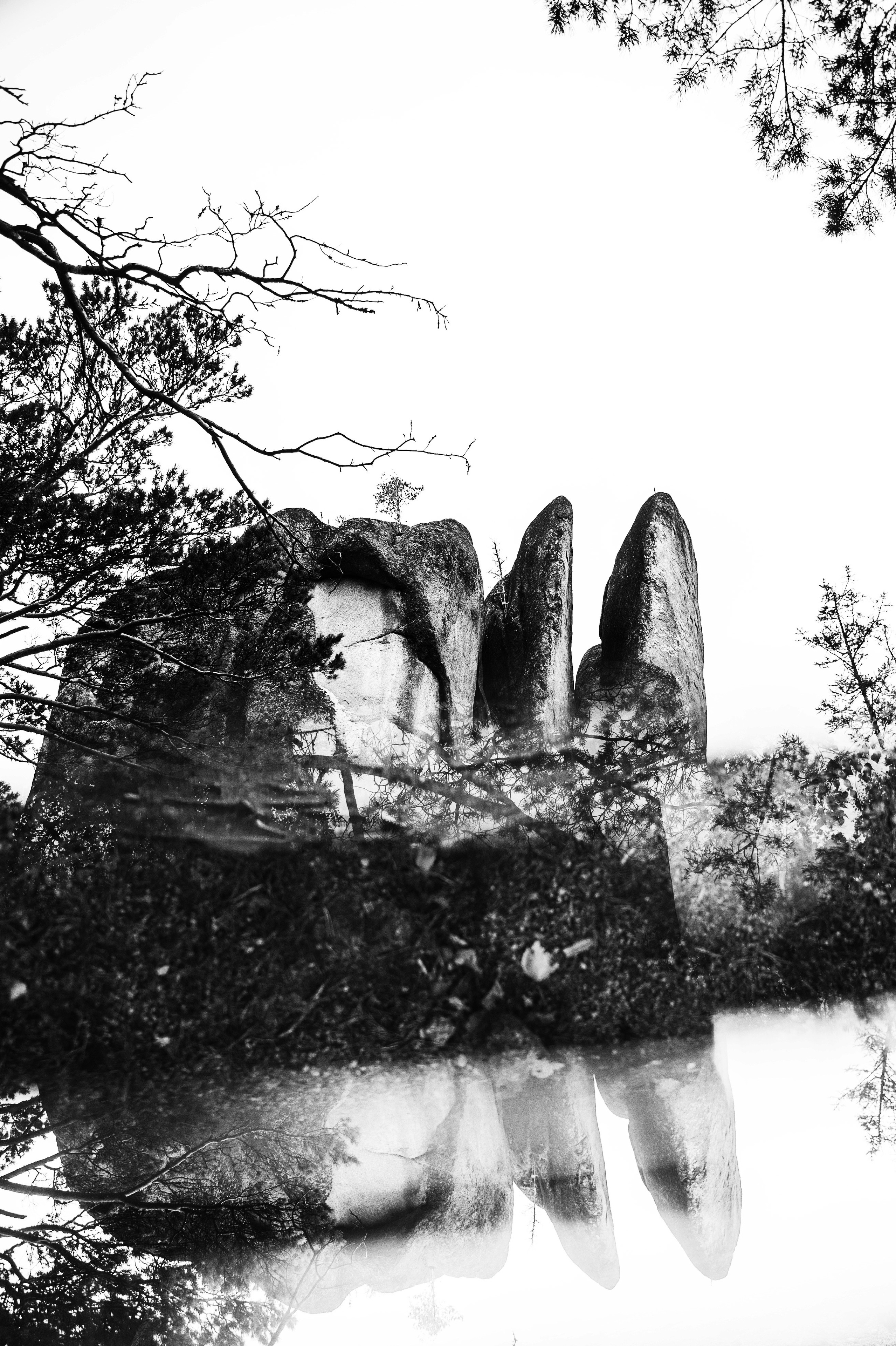 Работы, сделанные в Арт-резиденции «Красноярские столбы». Арт-фотография, терапевтическая фотография в Москве. Фотограф Анна Ермолова