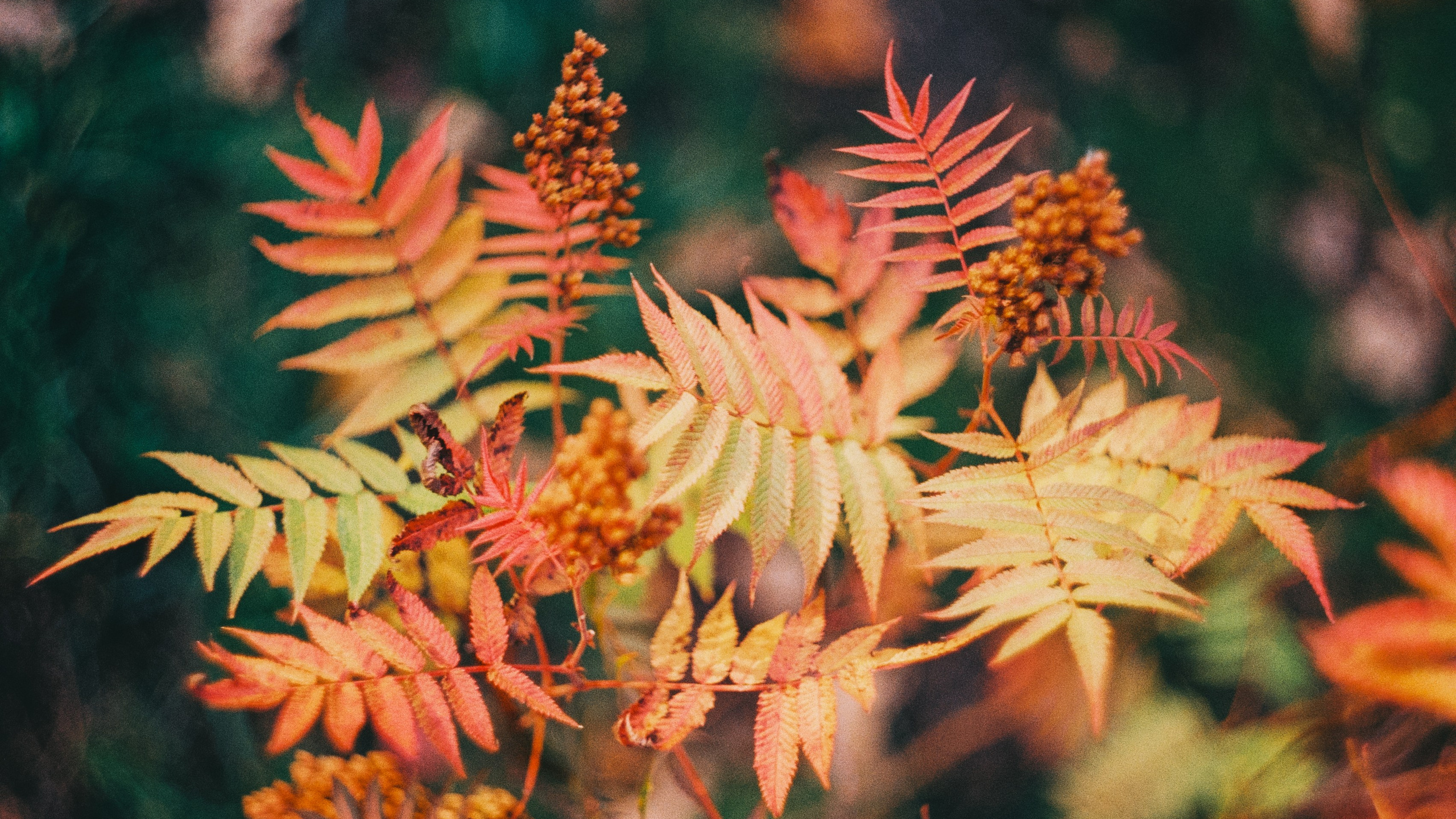 Первые кадры на пленку. Фотограф из Москвы — DASHA NOVA | Авторская фотография в разных жанрах