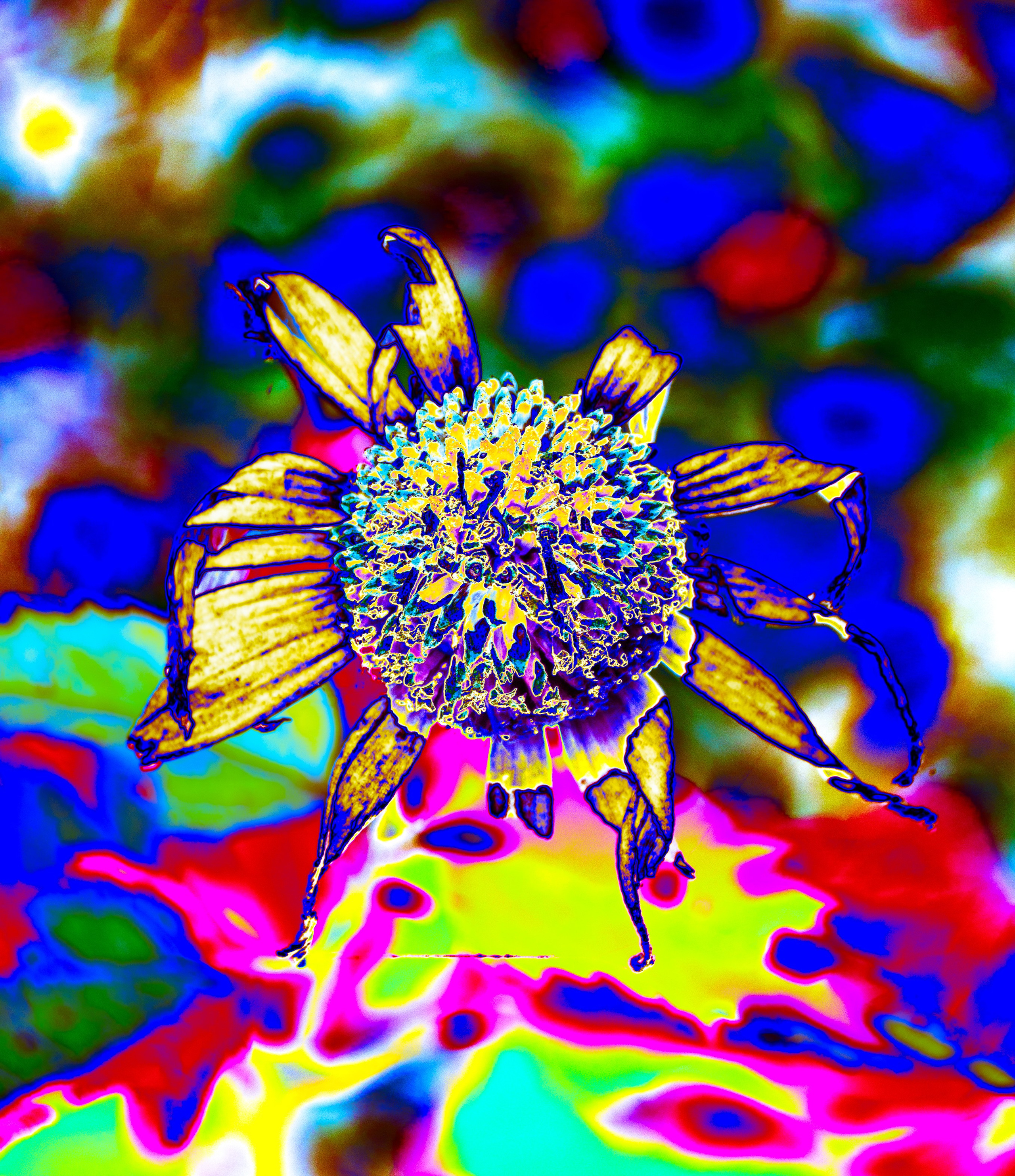 фото проект, фотограф, фотография, обложка для книги, обложка, цвет, цветная фотография, исследование цвета, современное искусство, искусство фотографии, художественная фотография, сюрреализм, art, artist, photo, photographer, photo project, art photography, cover, visual art, picture, color, surrealism