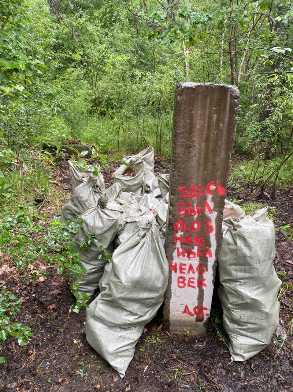 Осознанный землянин. Художник Рыбак Николай