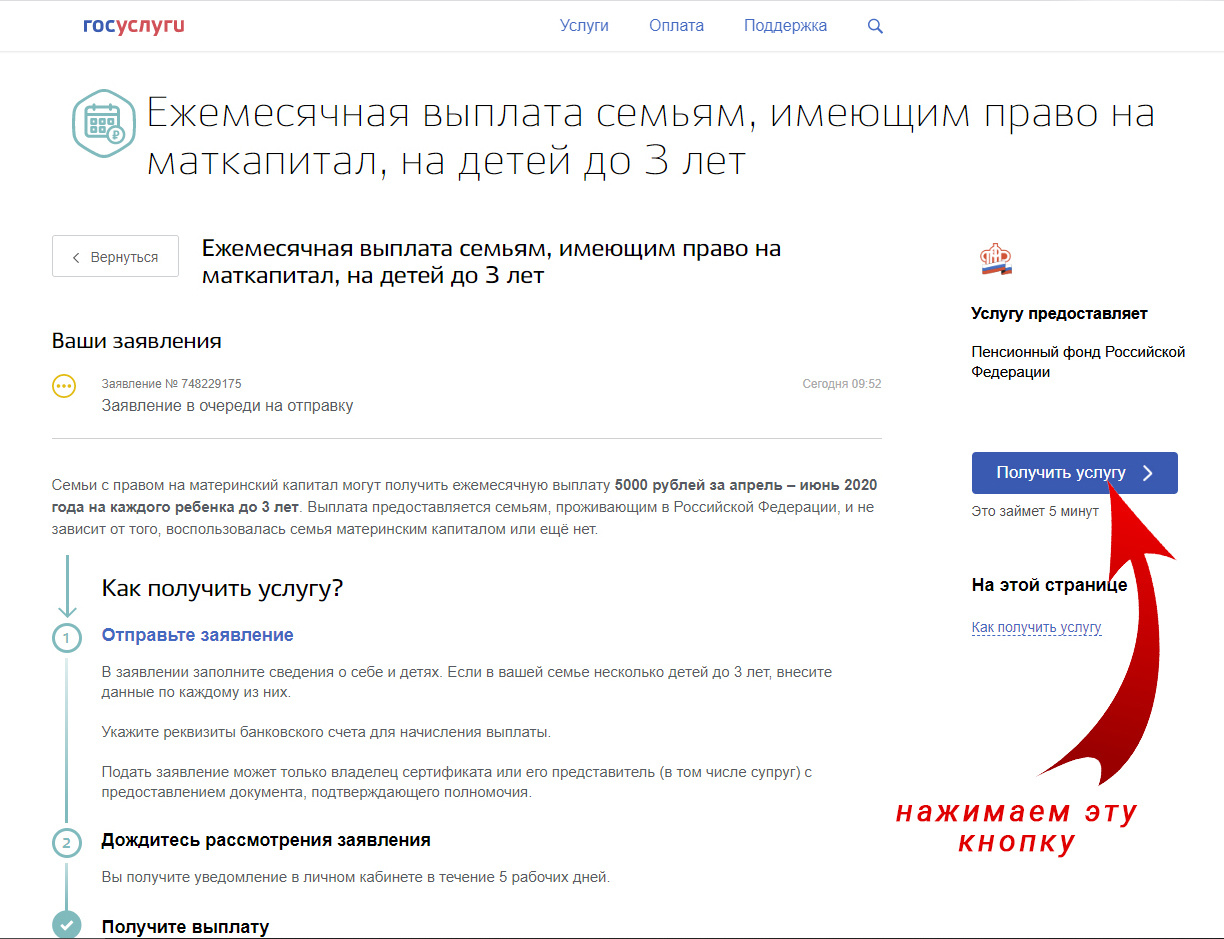 Дополнительные выплаты на детей. Ирина Чайка. Профессиональный фотограф и наставник экспертов