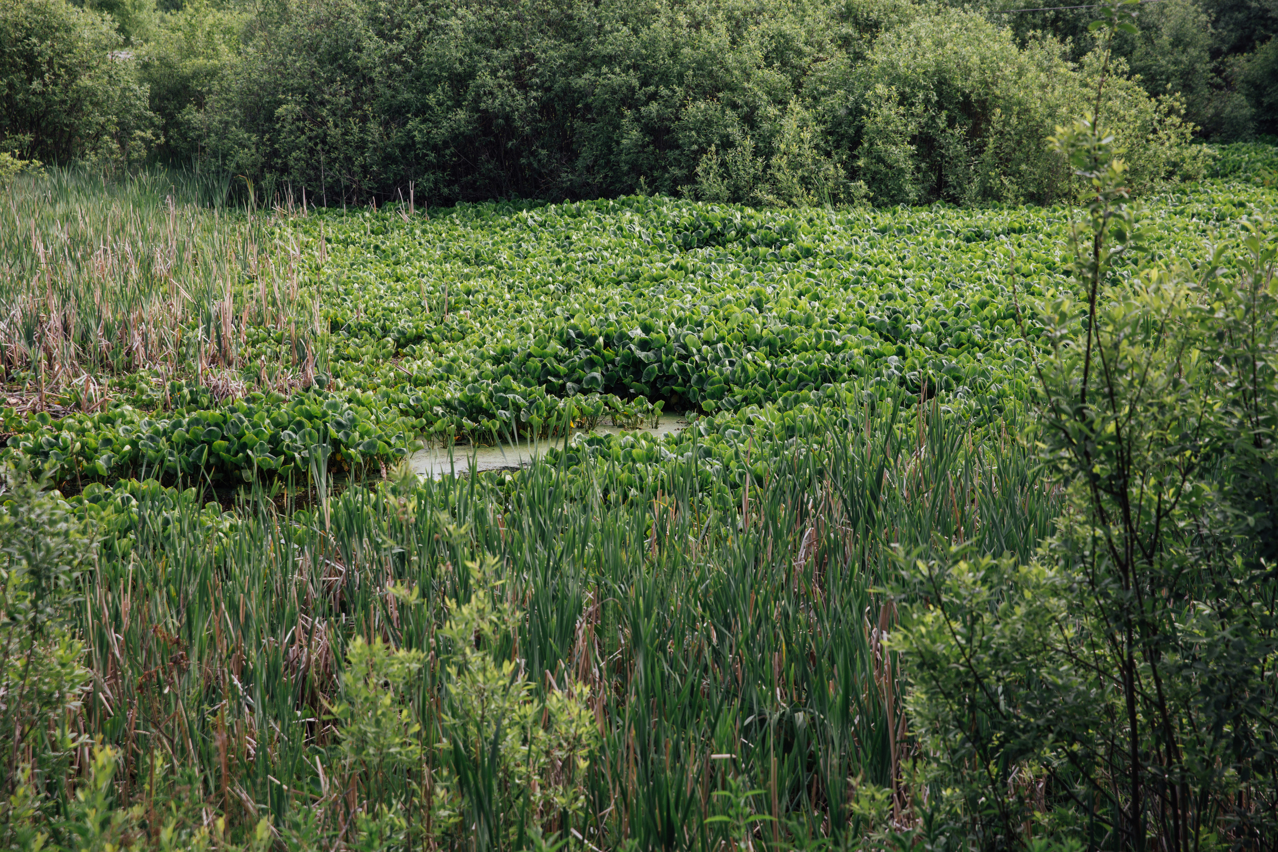 Выкса и Арт-овраг. Свадебный и портретный фотограф в Нижнем Новгороде и Нижегородской обл