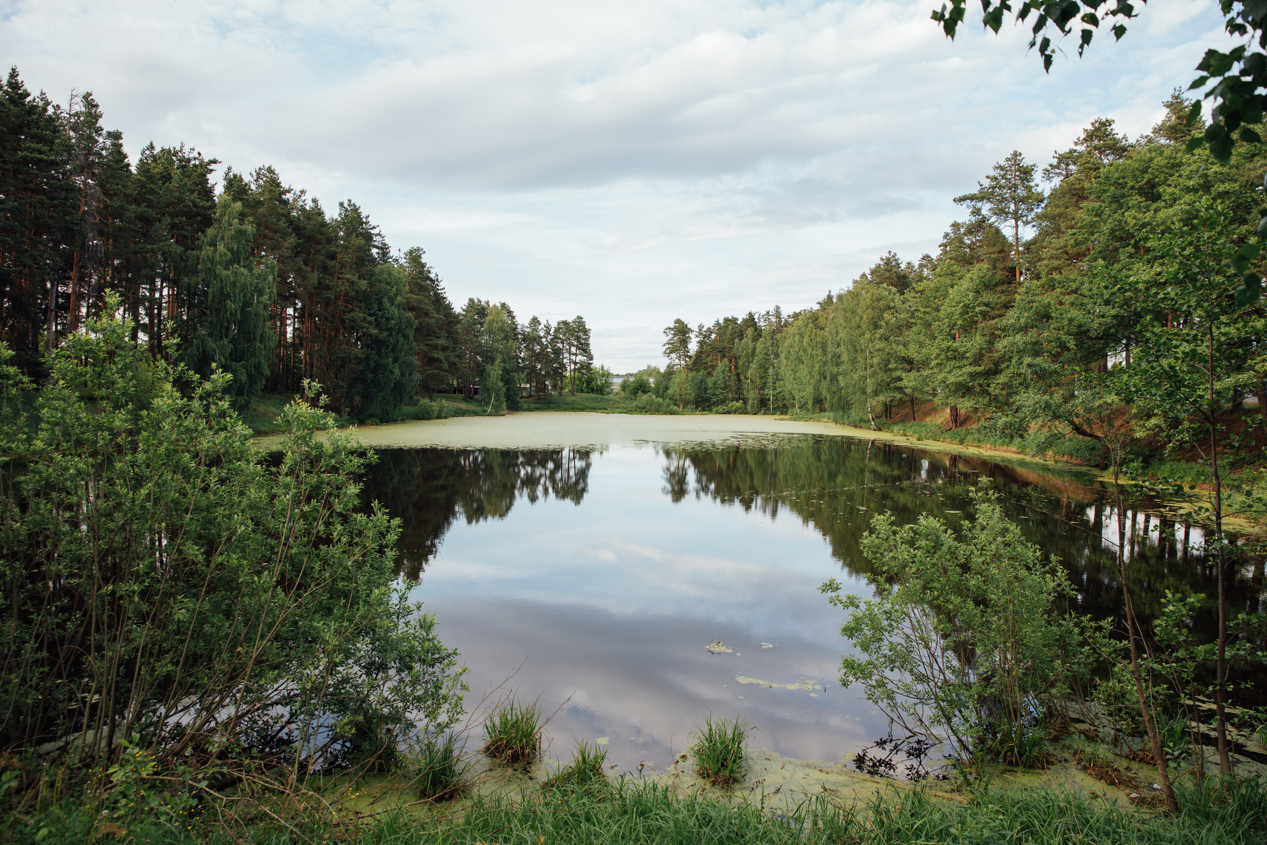 Выкса и Арт-овраг. Свадебный и портретный фотограф в Нижнем Новгороде и Нижегородской обл