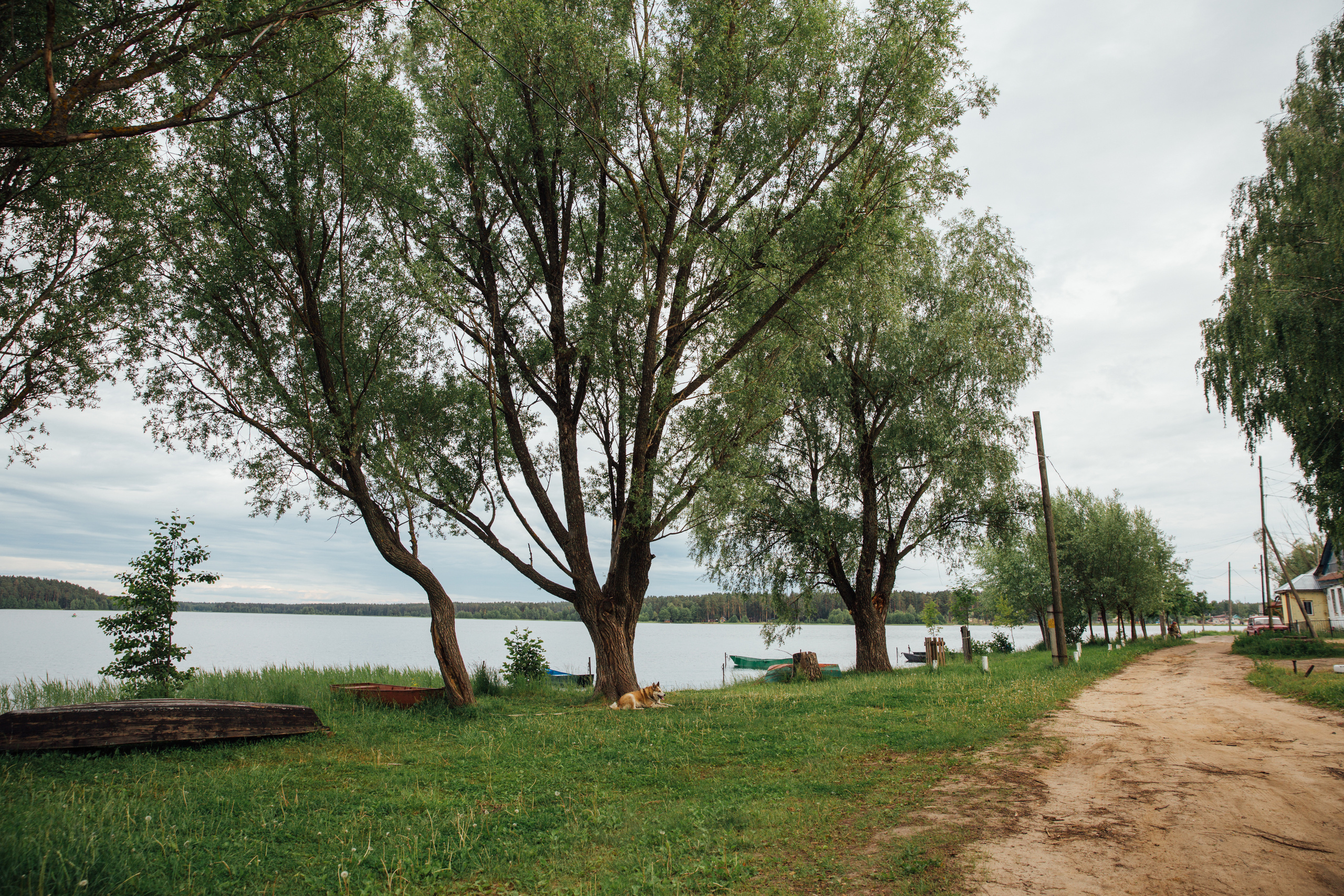 Выкса и Арт-овраг. Свадебный и портретный фотограф в Нижнем Новгороде и Нижегородской обл