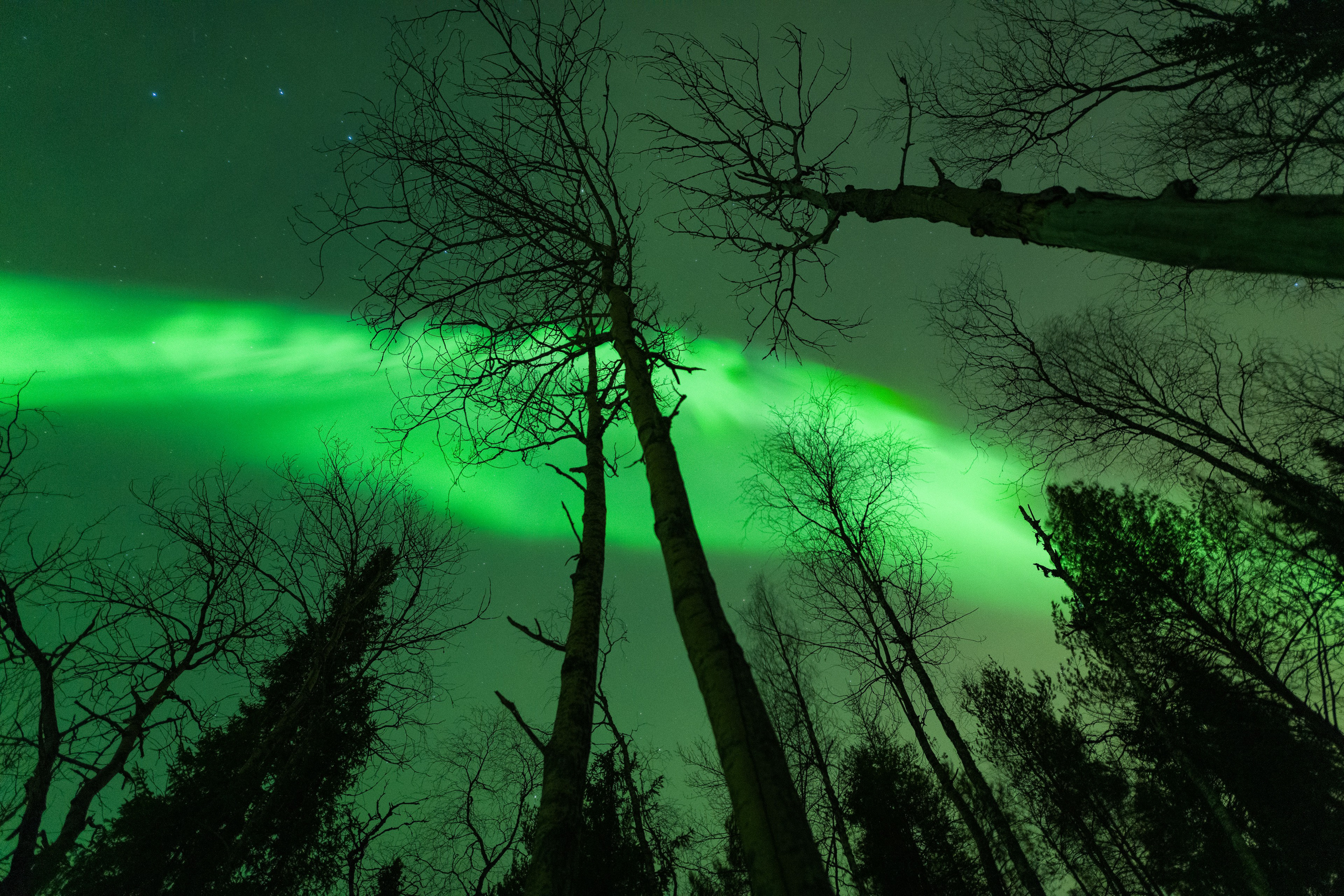 2025. Northern Nights