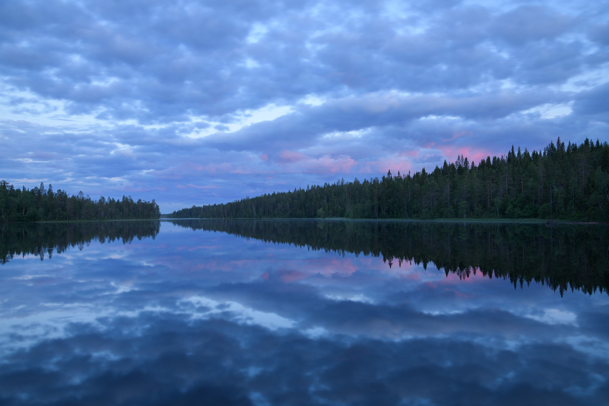 2024. Northern Nights