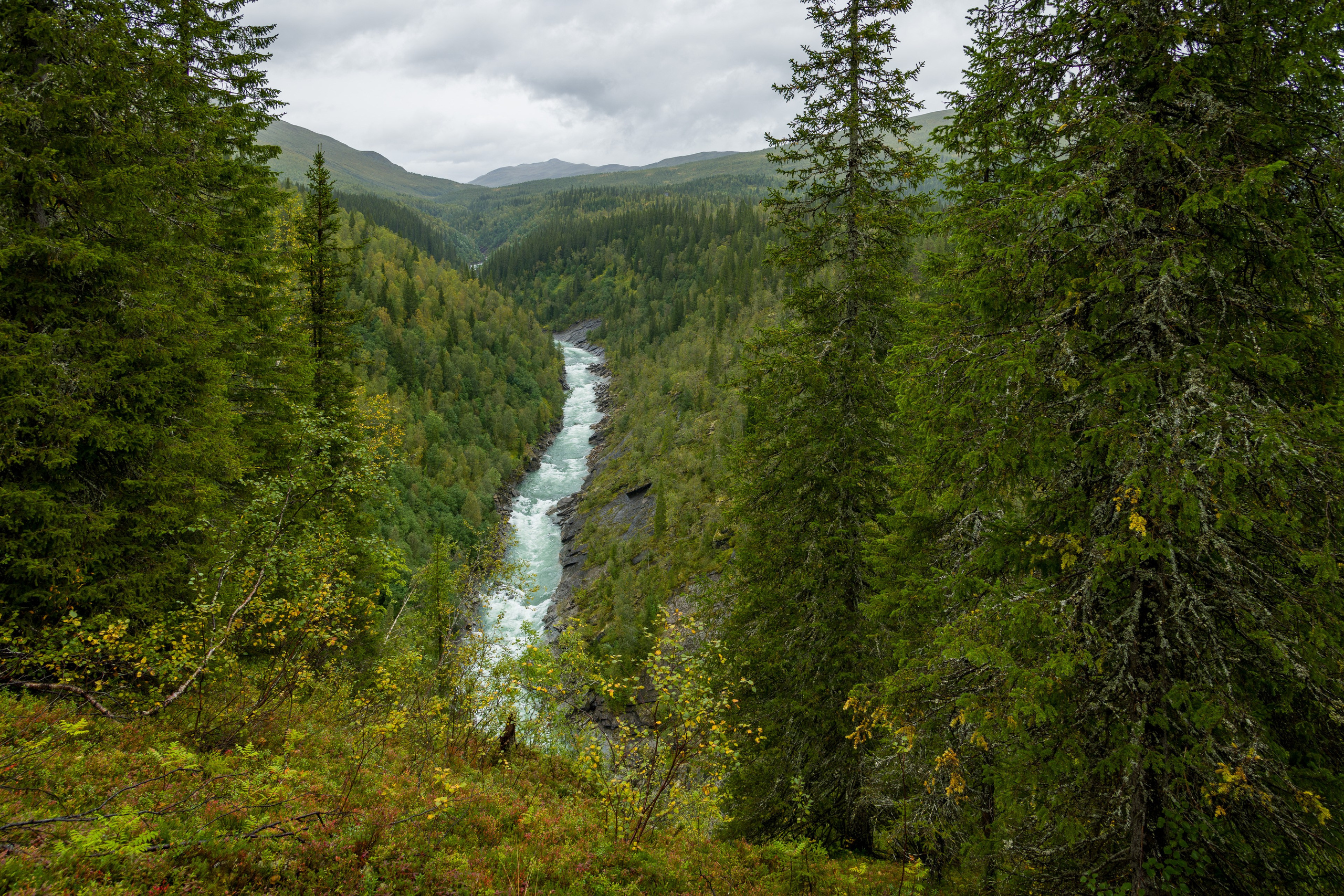 Норвегия в Сентябре. Северные Ночи