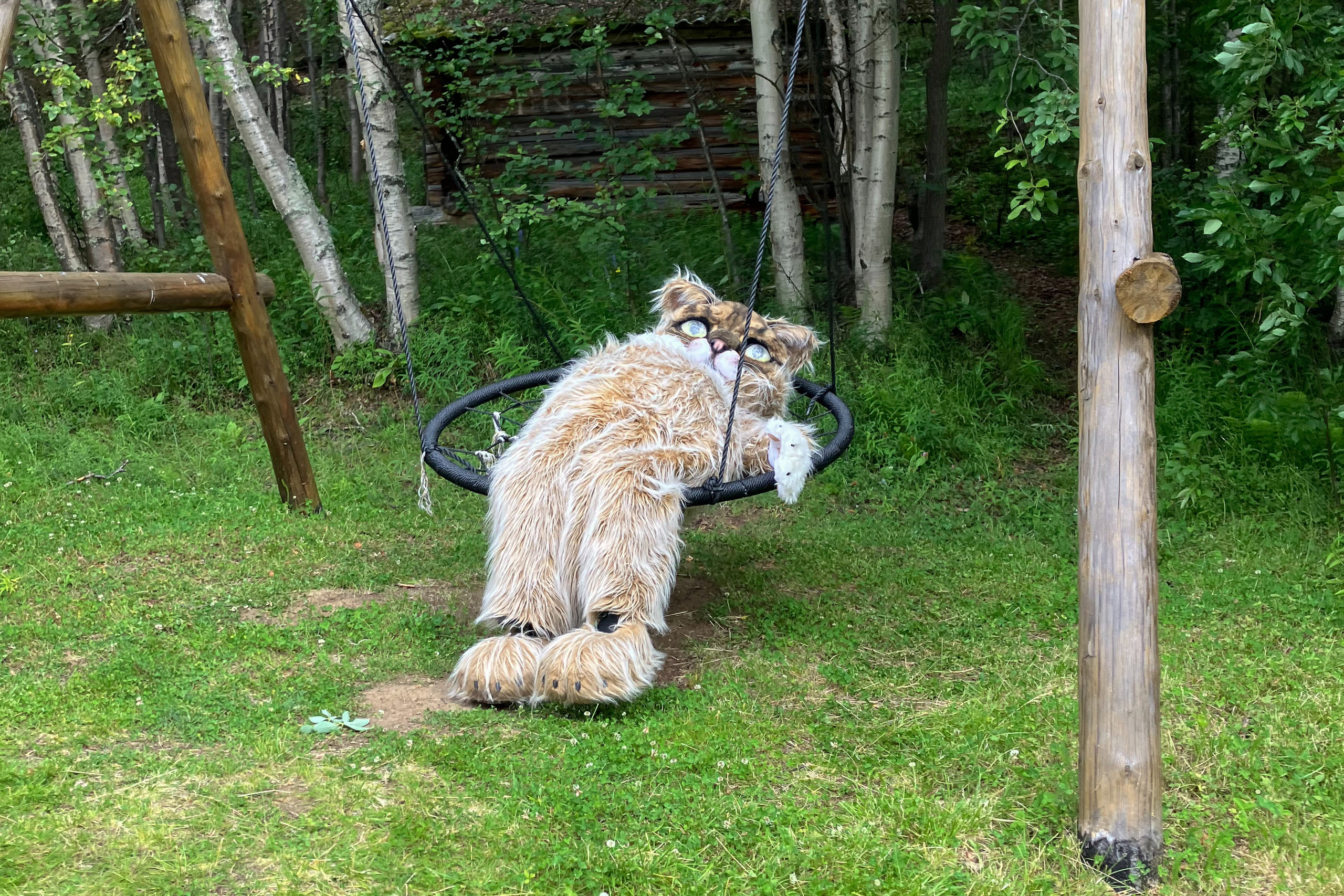 Лапландский заповедник. Северные Ночи