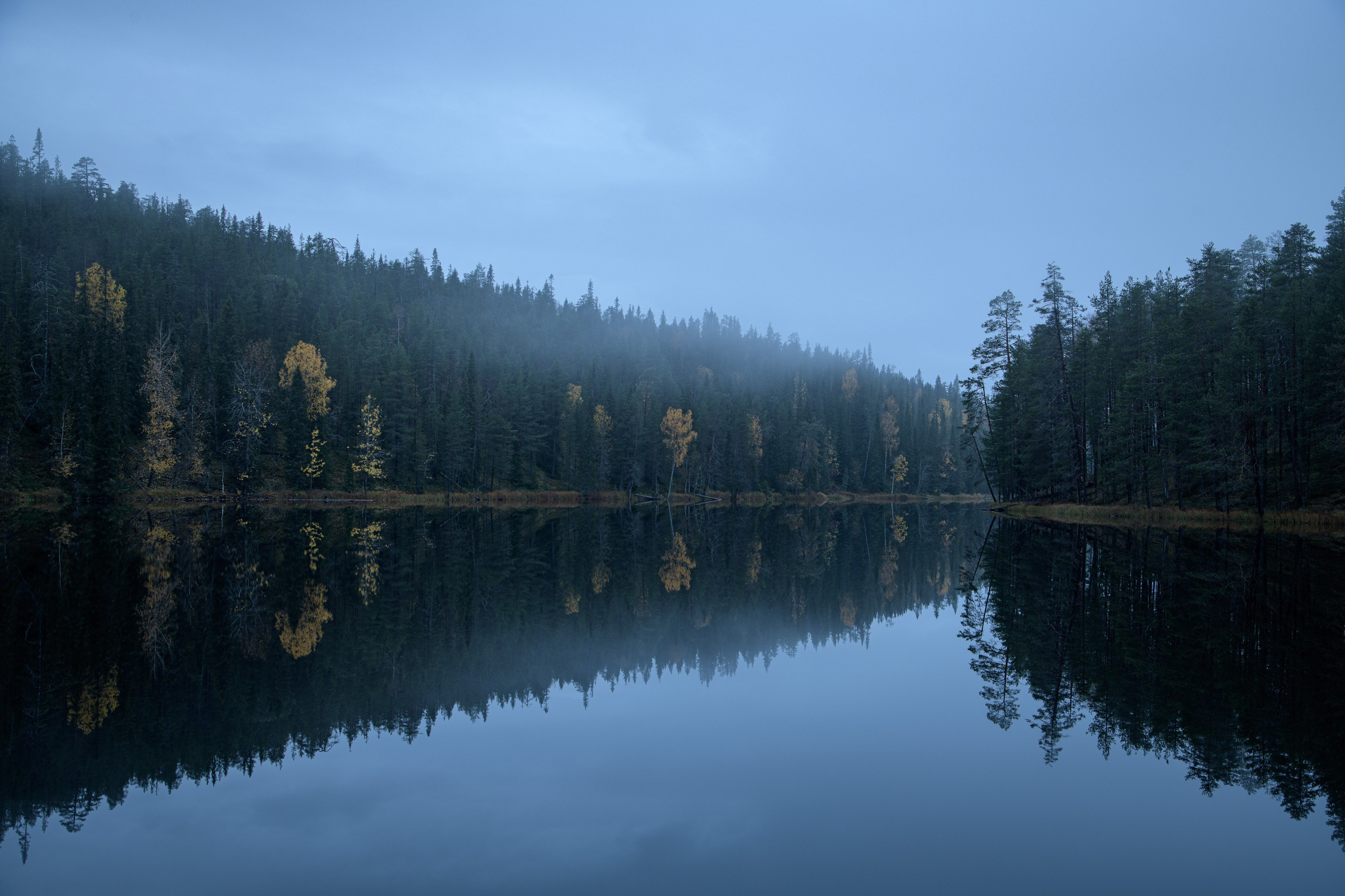 2023. Northern Nights