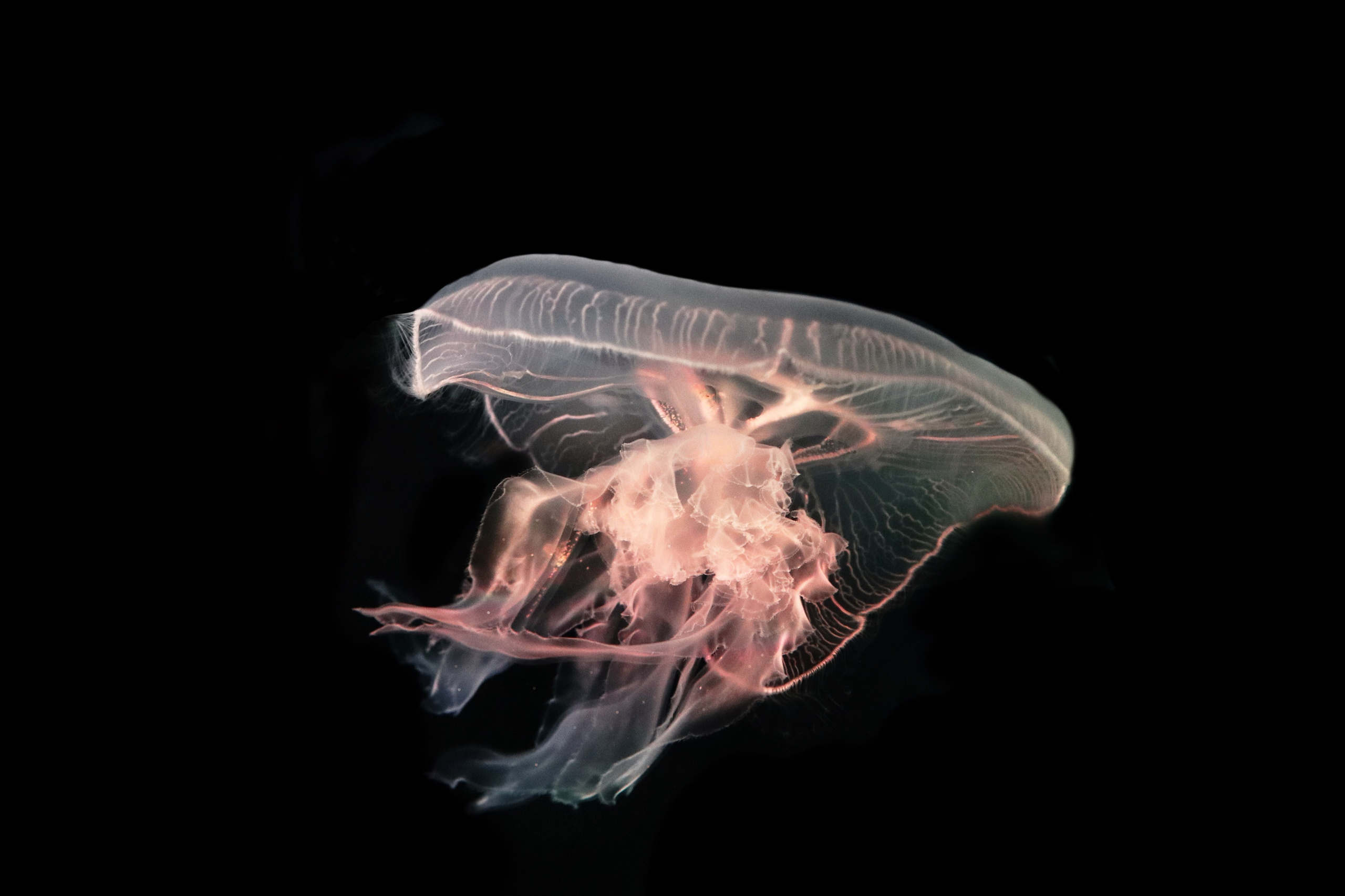 Зарисовки натуралиста. Фотограф Ольга Филимонова