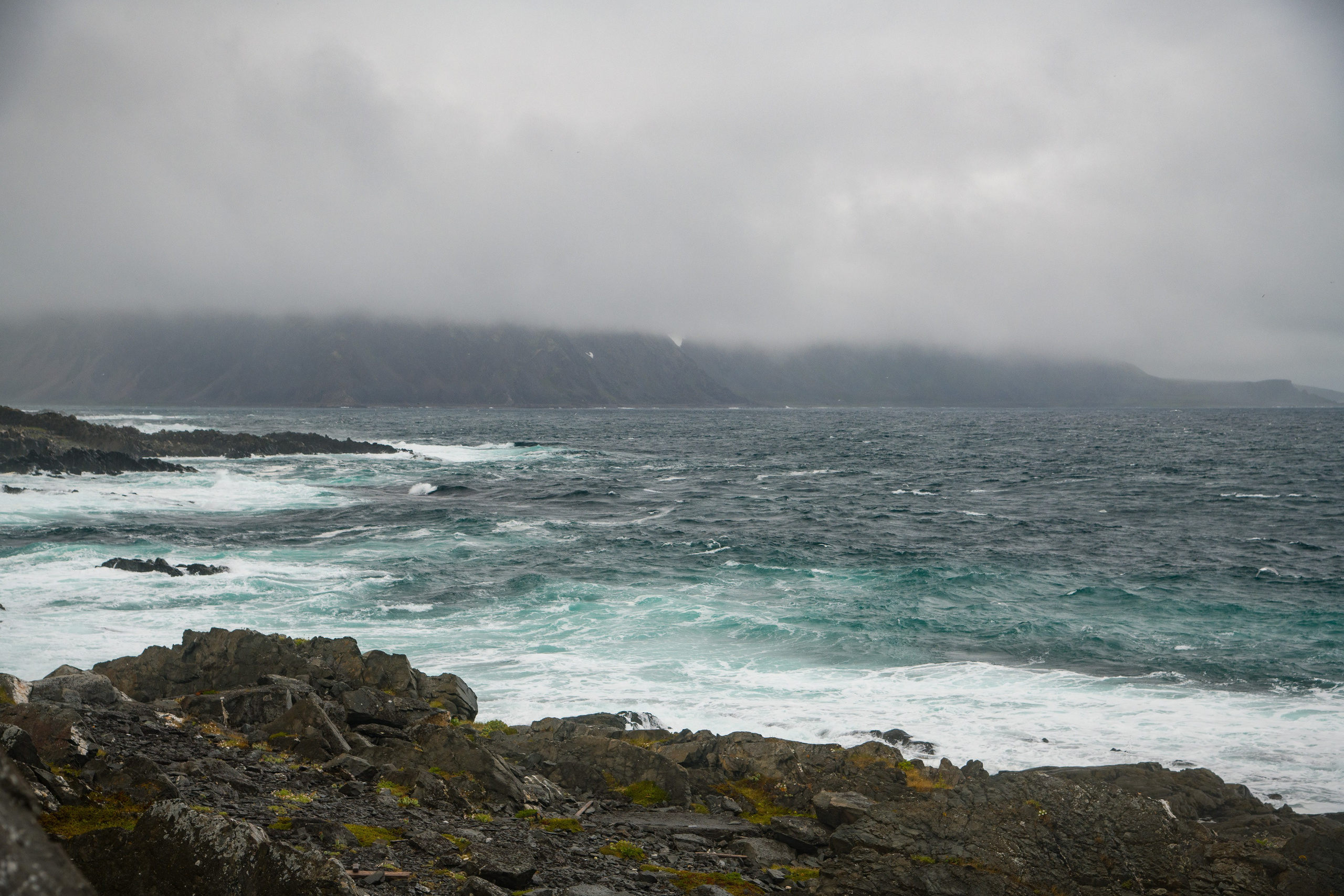 2023. Northern Nights