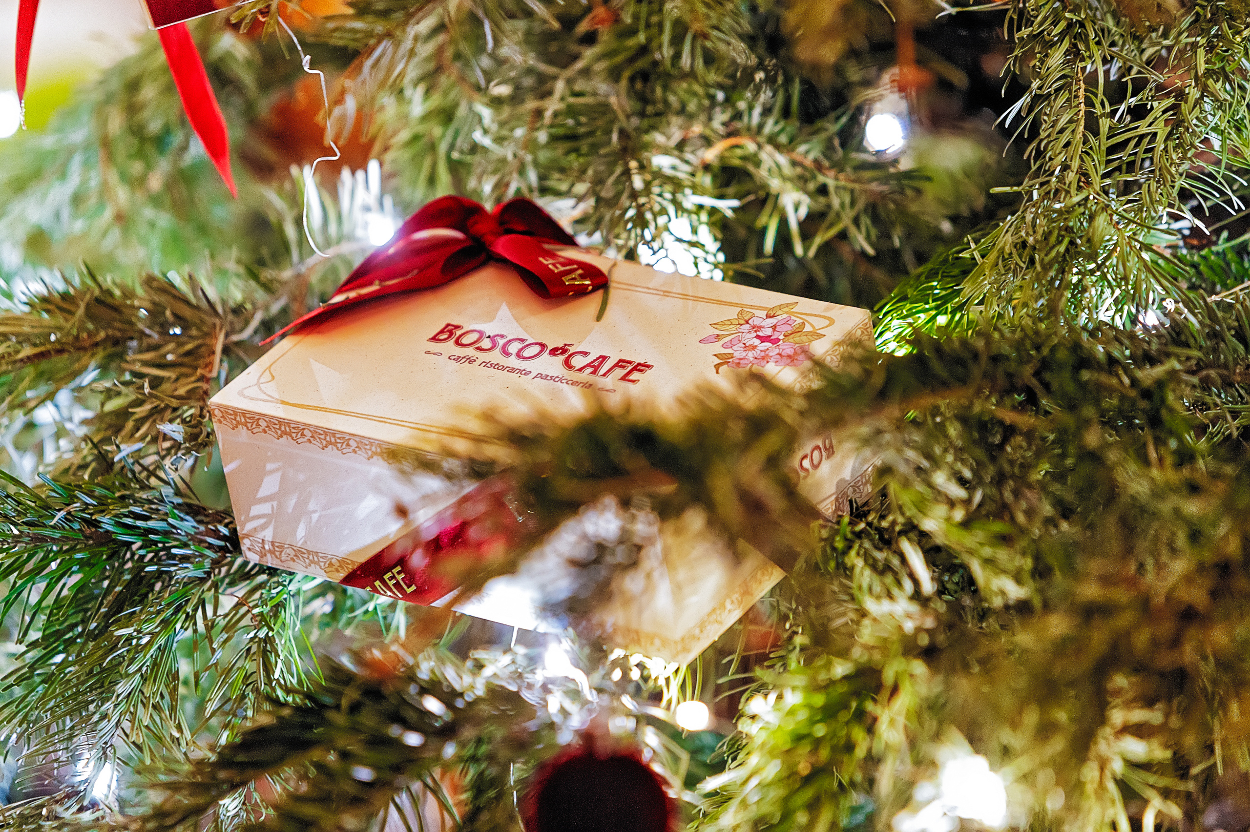 Фотограф. Геннадий Степанов —фотограф в Москве