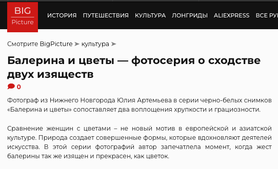 Press — Big Picture