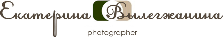 vylegzhaninaphoto.ru