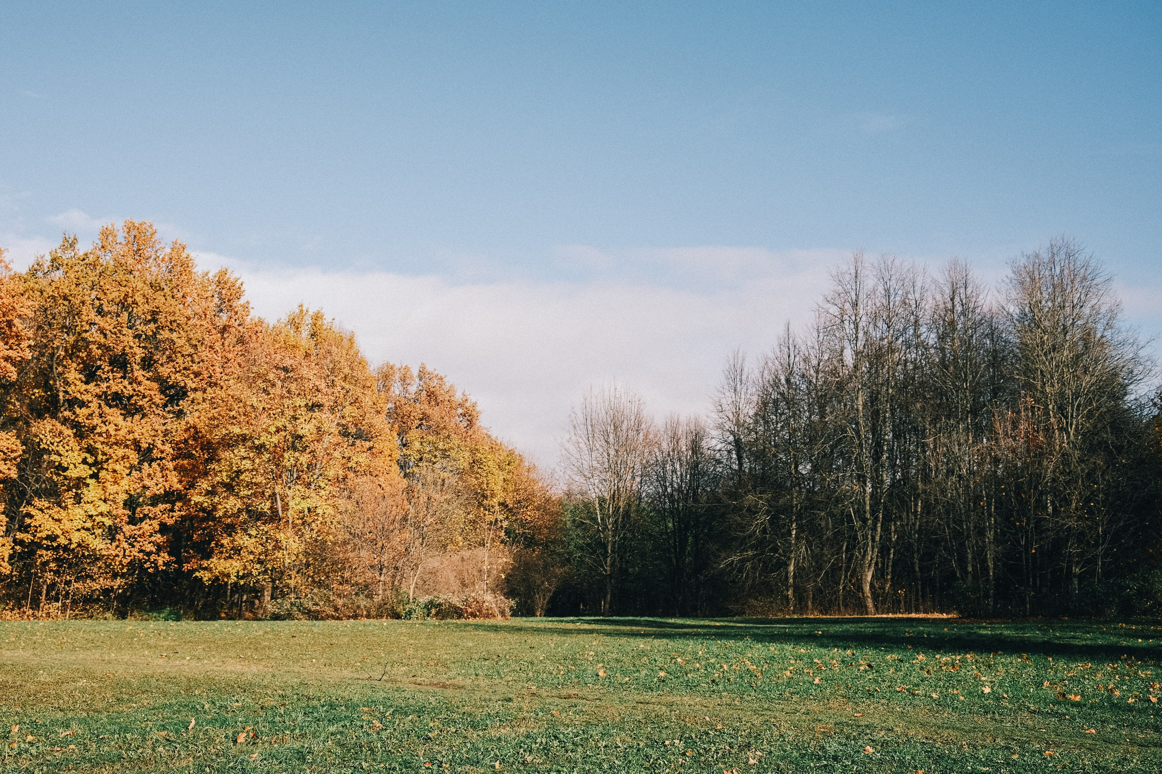 «Если мы понравимся Богу, то станем самореализованными». Аня Степанова