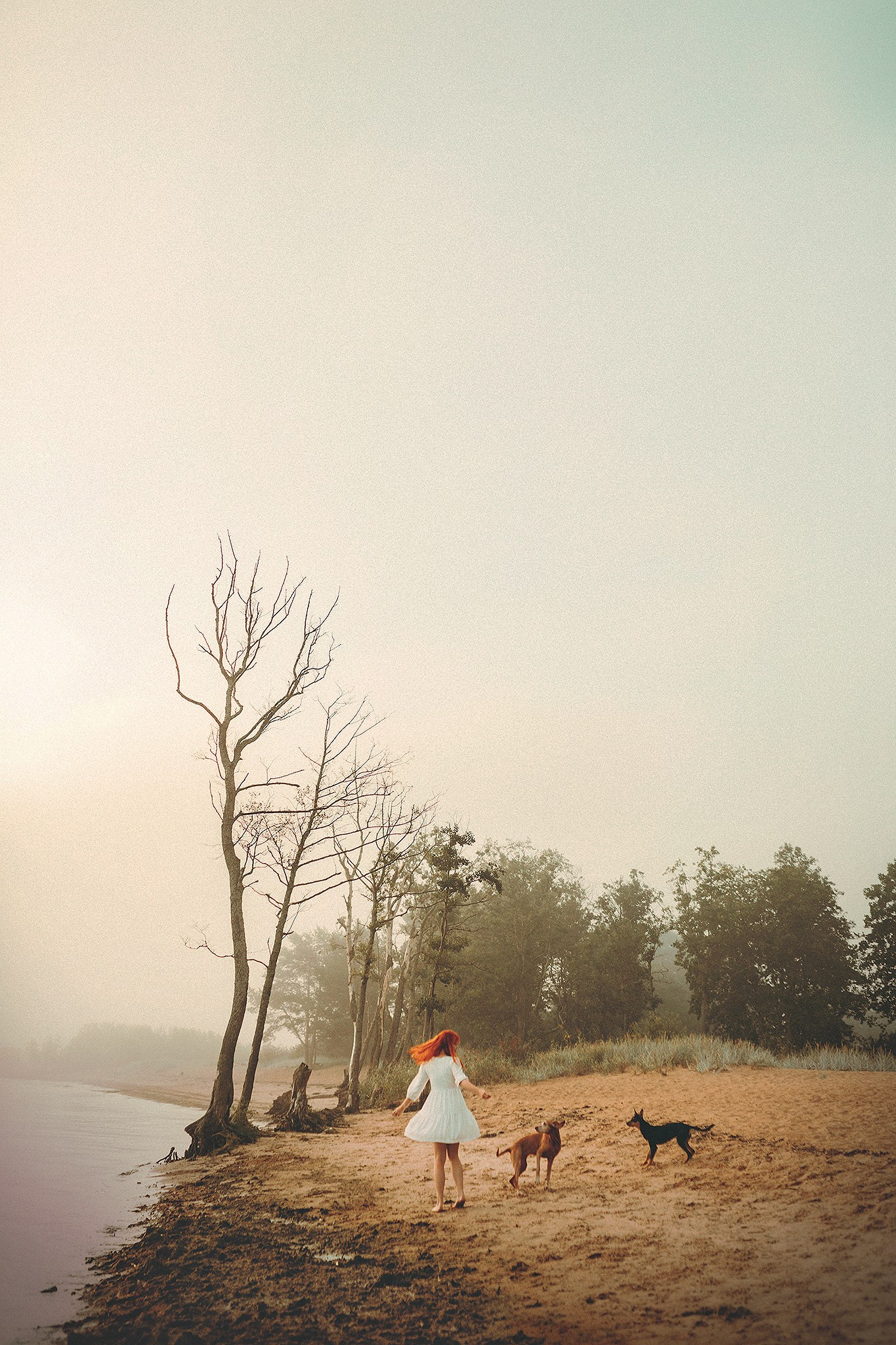 Фотограф-анималист • love-story • Санкт-Петербург