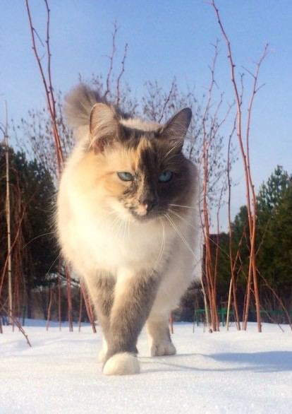 Команда экофермы Марии Гиппенрейтер. Эко отдых в Подмосковье в эко-отеле Марии Гиппенрейтер