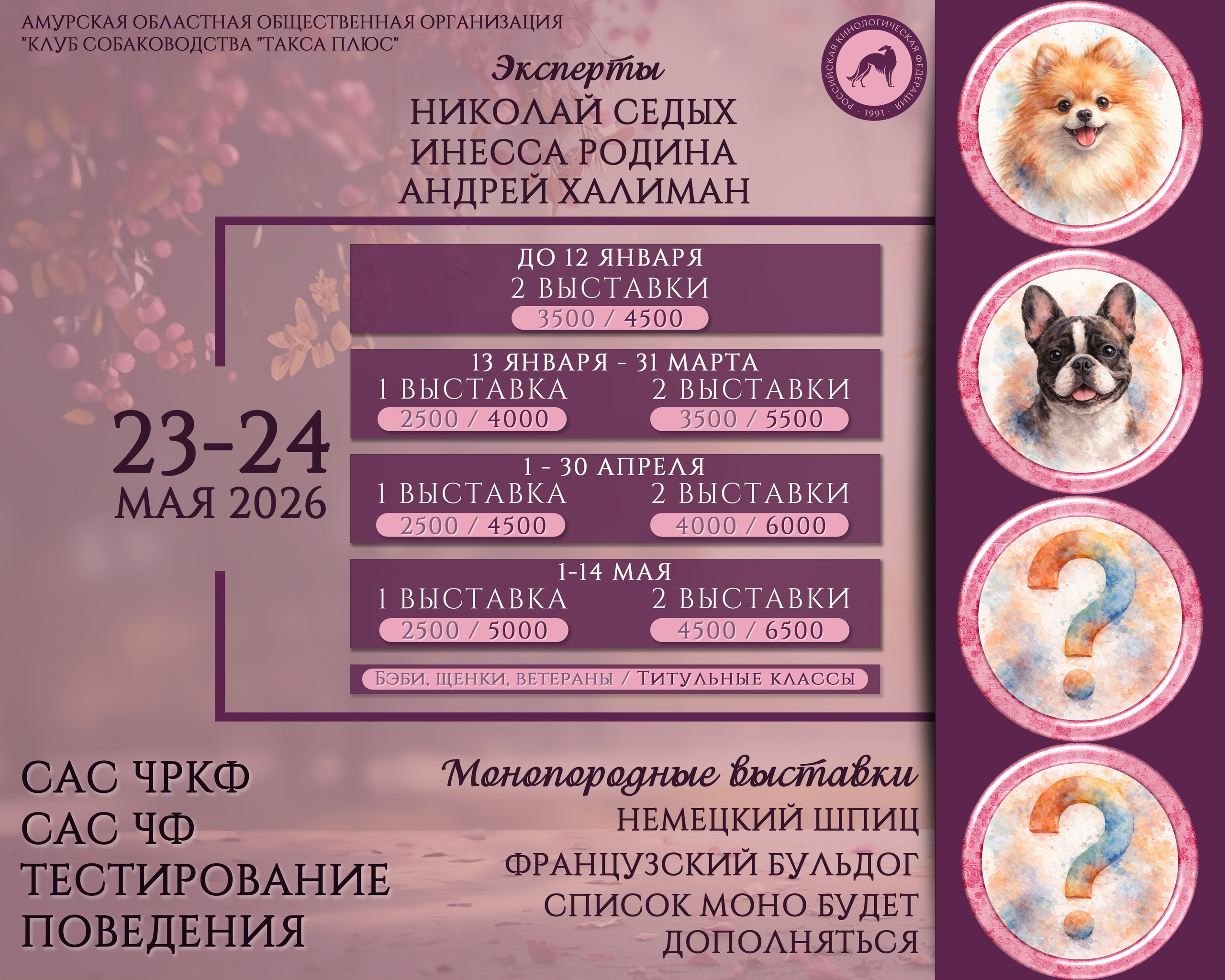 Дизайн. Фотограф анималист Благовещенск. Сафонова Виктория