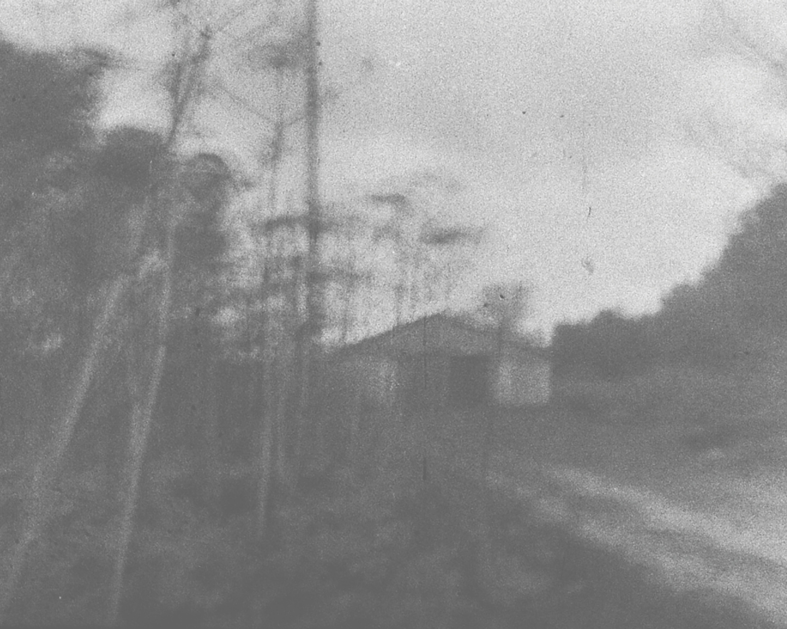 Trinity (2023 — in progress). Julia Gorbunova