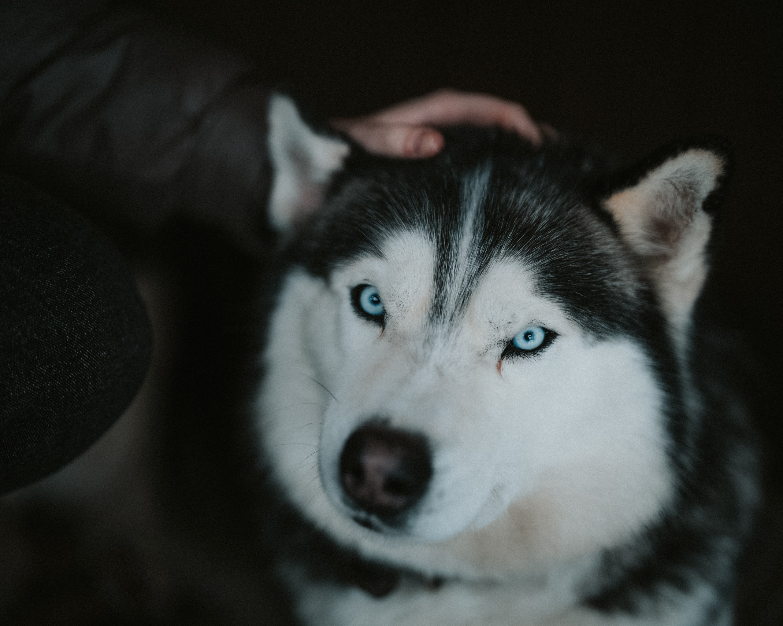 Сюжет № 2│Музеи — живая история